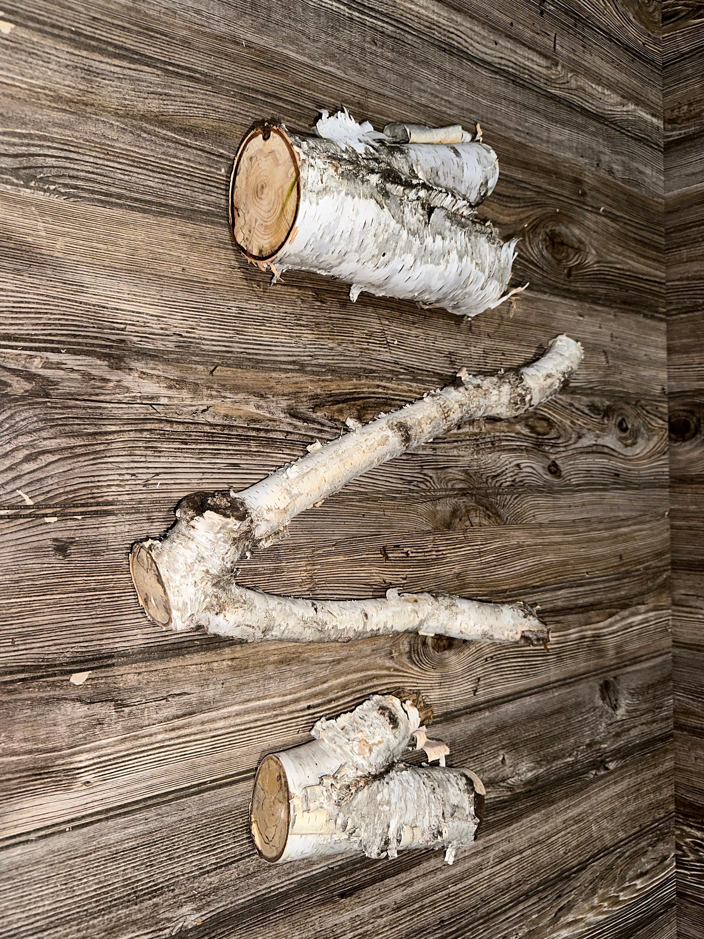 White Birch V-Shaped Logs, Three Count, Between 7.5-18 Inches Long by 4.5-9 Inches Wide, 2-3.5 Inches Thick