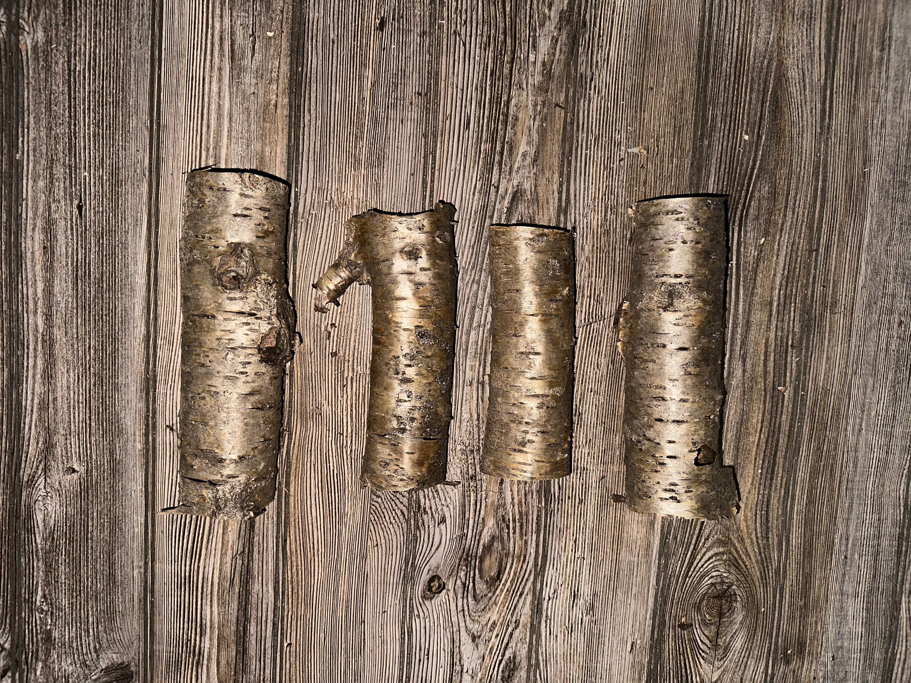 Yellow Birch Bark Tubes, 4 Golden Brown Tubes, Approx 7-9 Inches Long by 2-3 Inches Wide