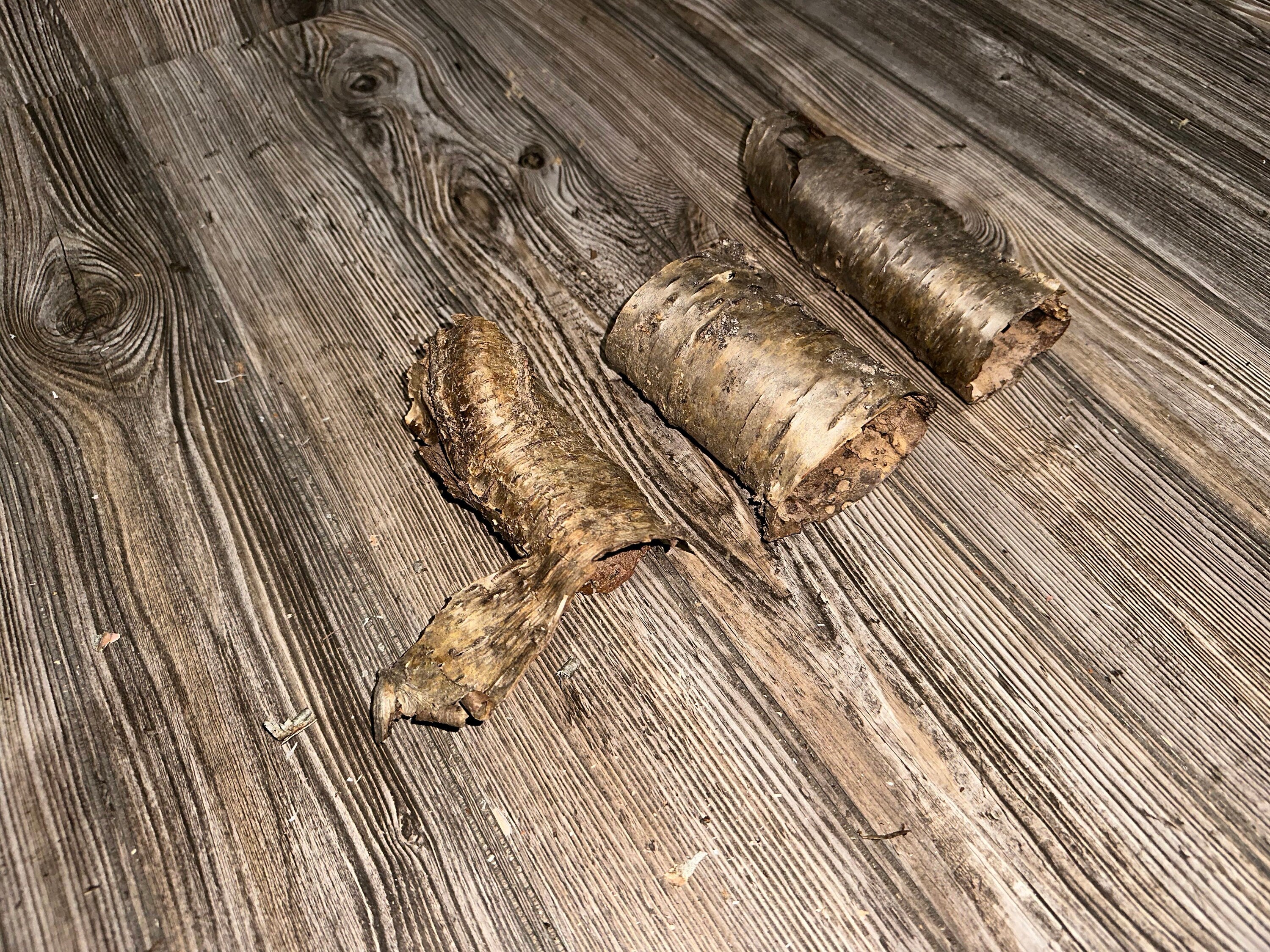 Yellow Birch Bark Tubes, 3 Golden Brown Tubes, Approx 4-6 Inches Long by 2-3 Inches Wide