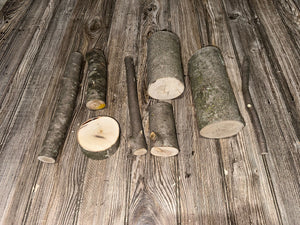Maple Logs, Maple Wood Ends and Pieces, 12 Count, Approximately 3-11 Inches Long and About 1-4 Inches Diameter