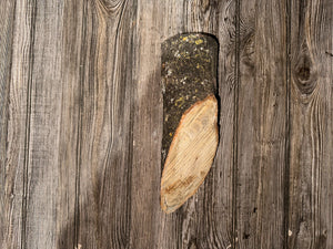 Basswood Log, Basswood Wedge, One Count, About 12 Inches Long by 4 Inches Wide and 3.5 Inches Tall