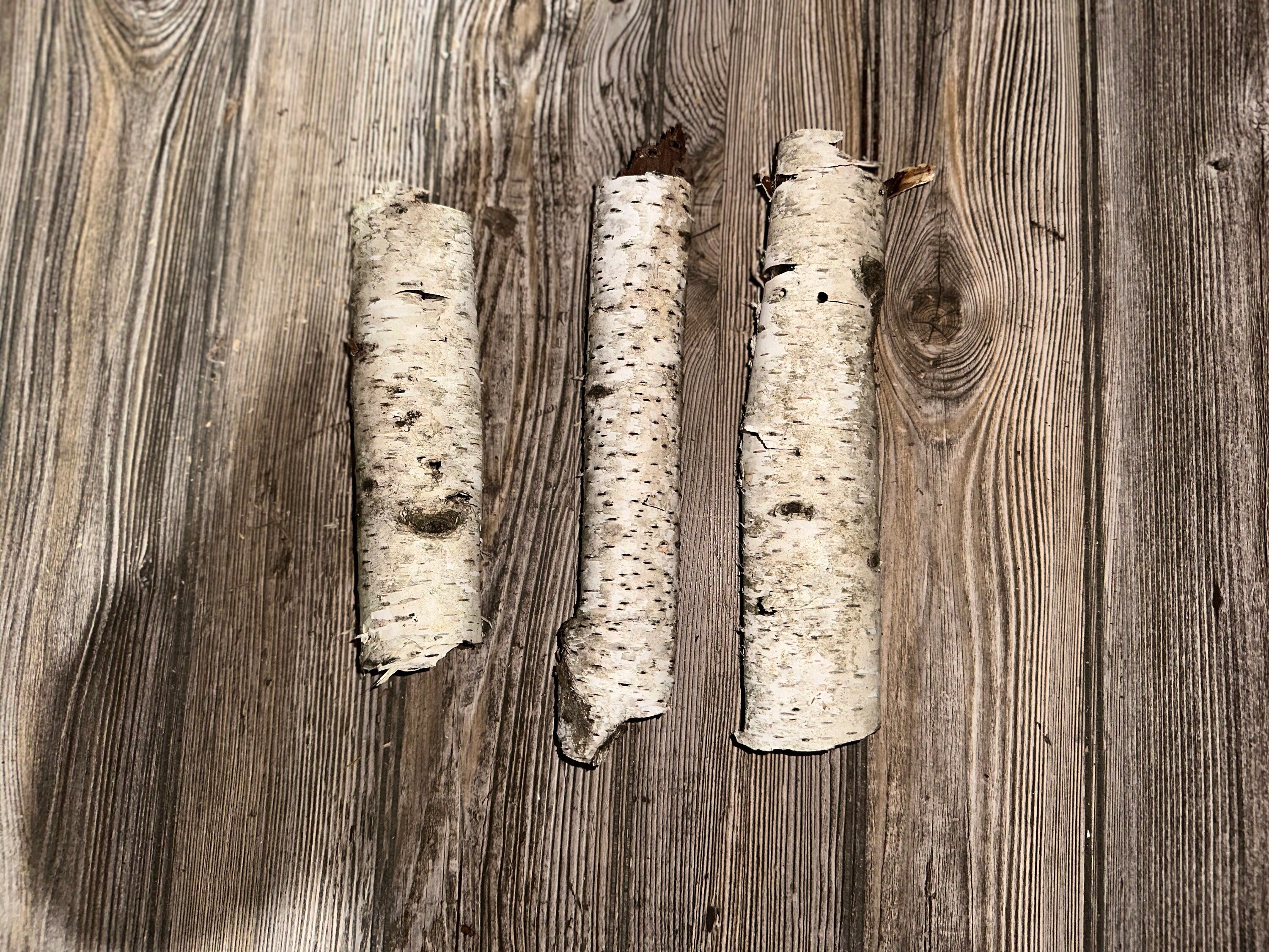 Three White Birch Bark Tubes, Approximately 8-9 Inches Long by 2 Inches Wide and 1.5 Inches High