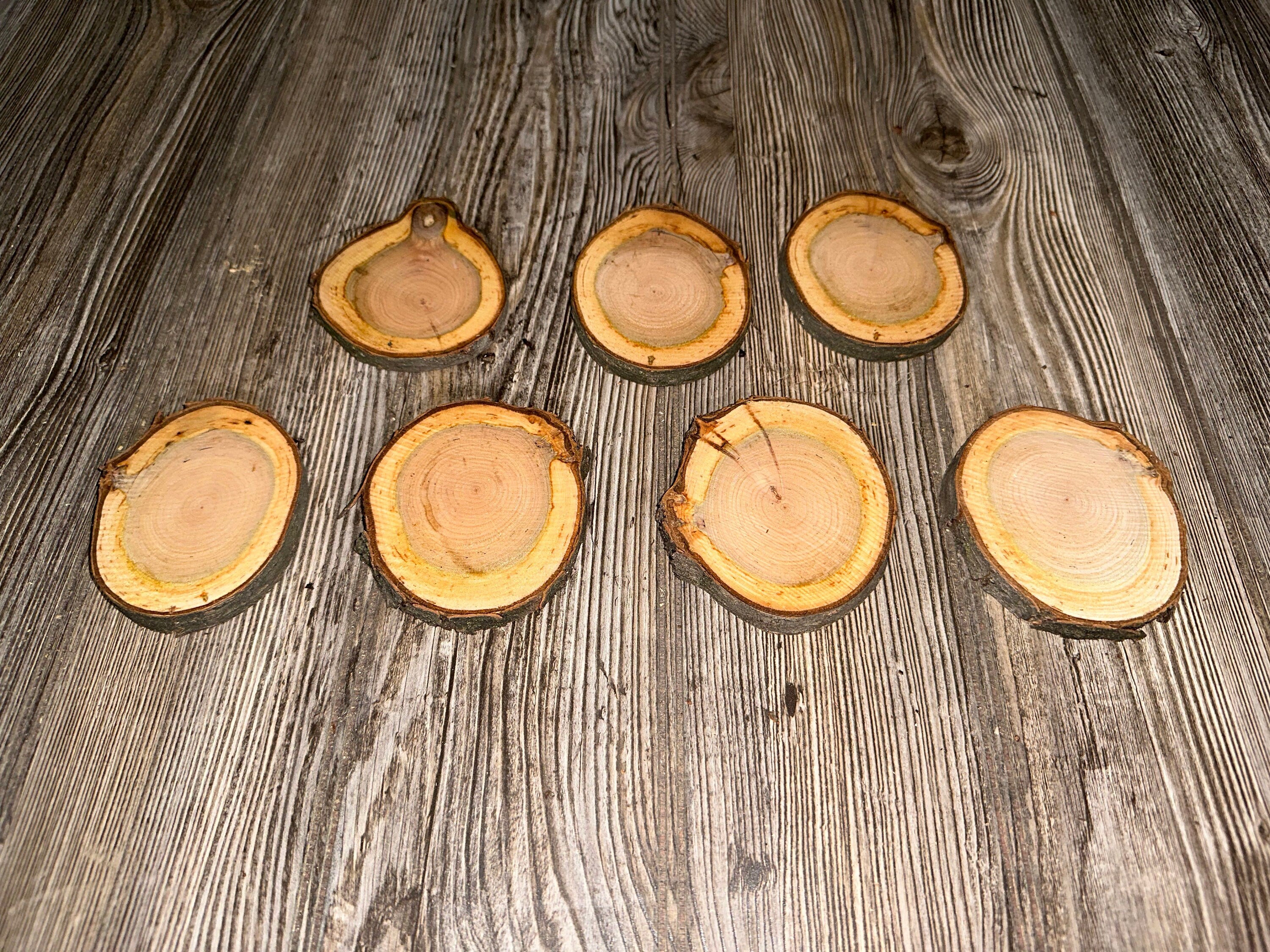 Two Cherry Slices, Cherry Wood Slices Approximately 3.5-4 Inches Long by 3 Inches Wide and 1/2 Inch Thick