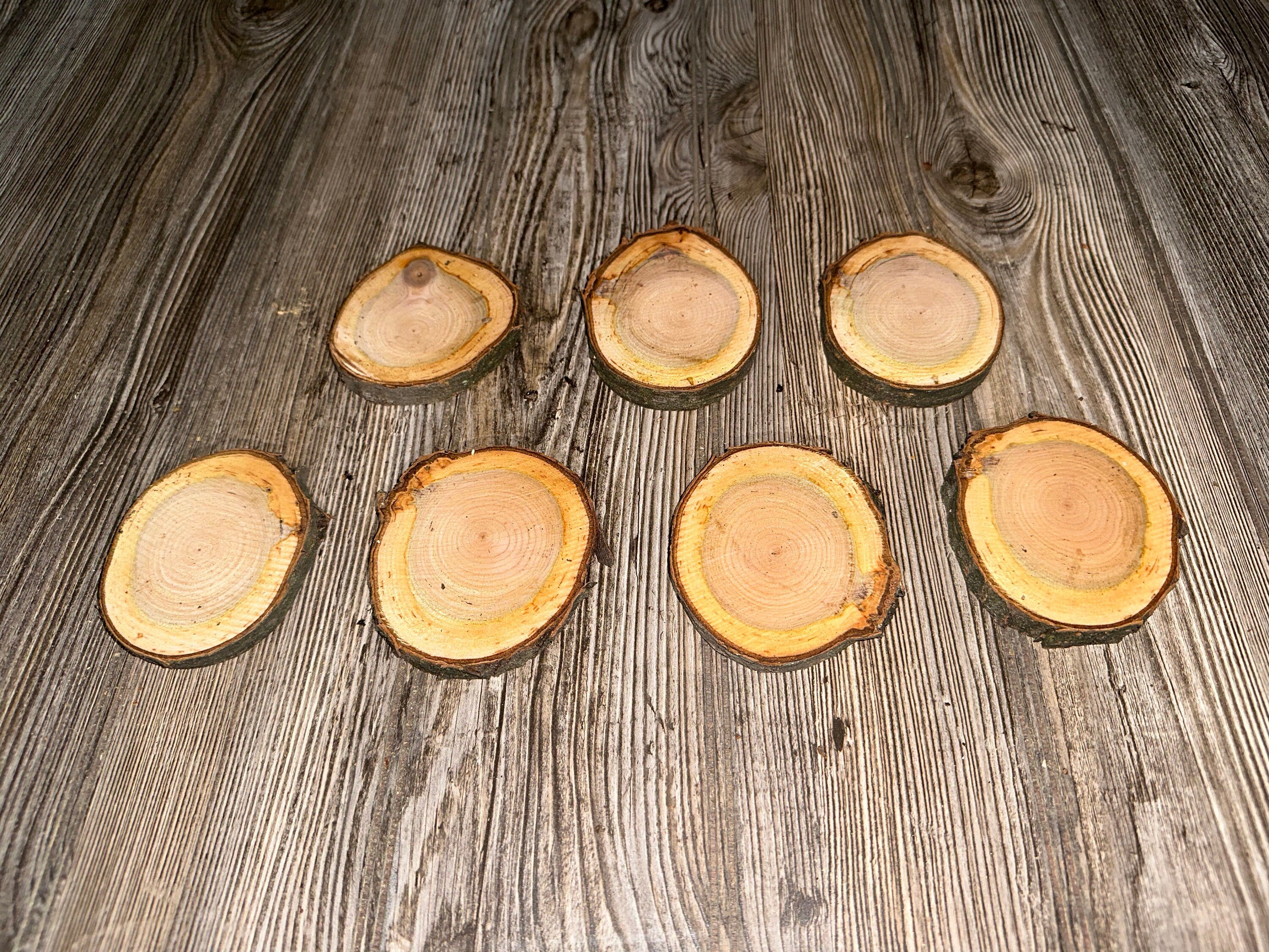 Two Cherry Slices, Cherry Wood Slices Approximately 3.5-4 Inches Long by 3 Inches Wide and 1/2 Inch Thick