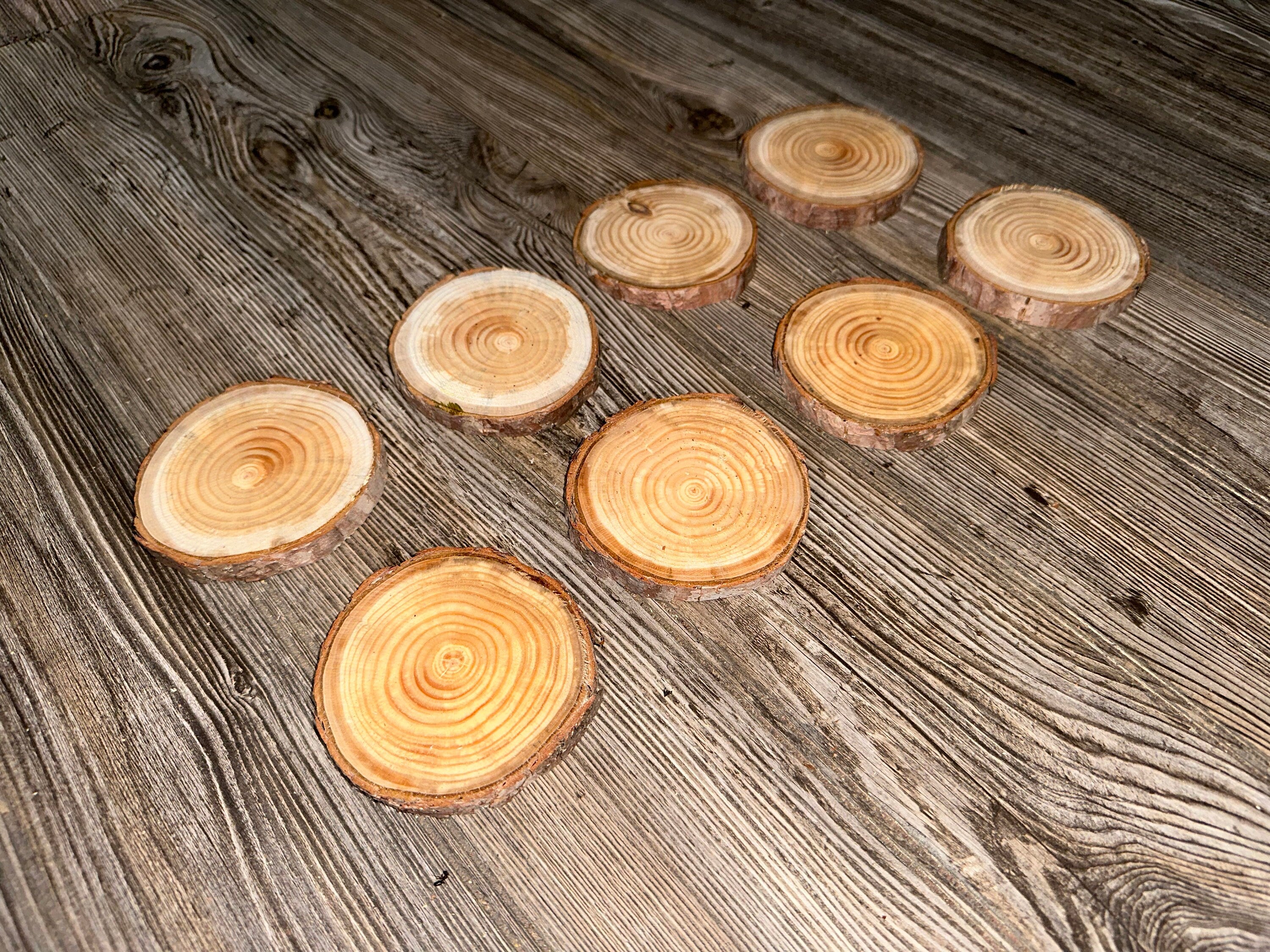 Red Pine Slices, Eight Count, Approximately 3-4 Inches Long by 3-4 Inches Wide and 1/2 Inch Tall