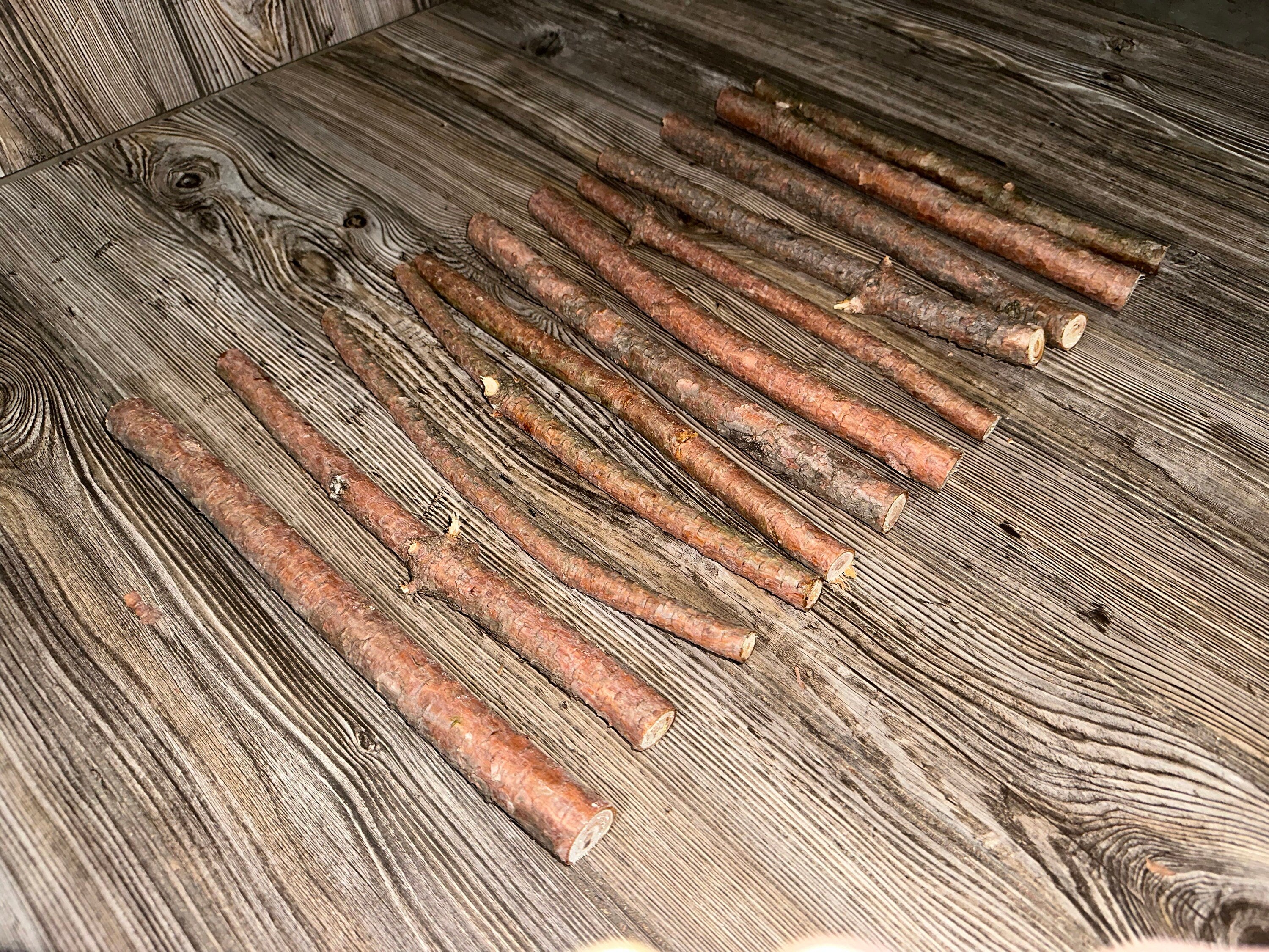 Red Pine Branches, Red Pine Sticks, 12 Count, About 12 Inches Long by 1/2-1 Inch Thick