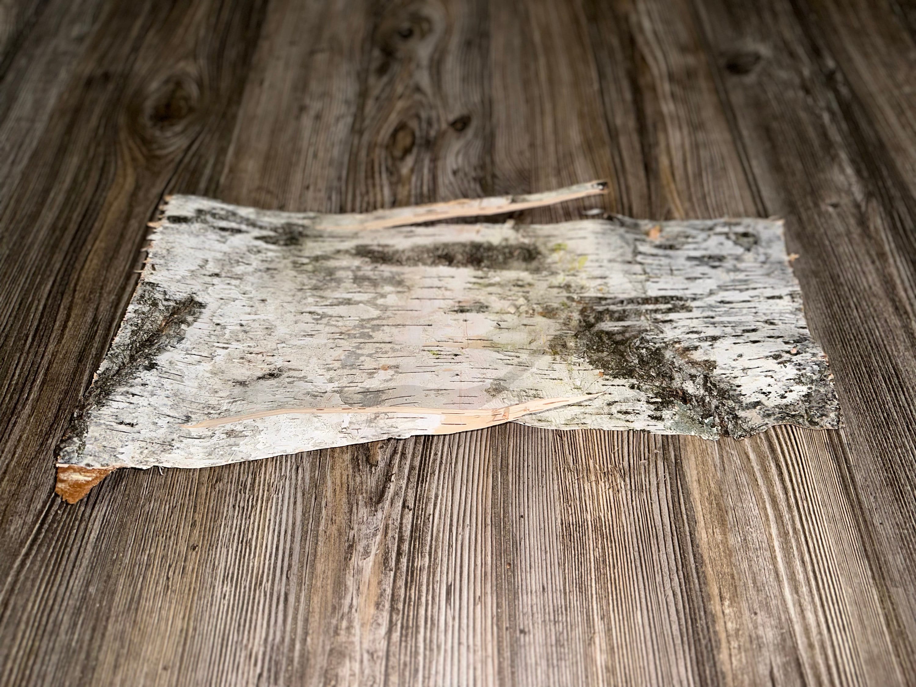 Natural White Birch Bark, White Birch Sheet, Approximately 17 Inches Long by 8 Inches Wide