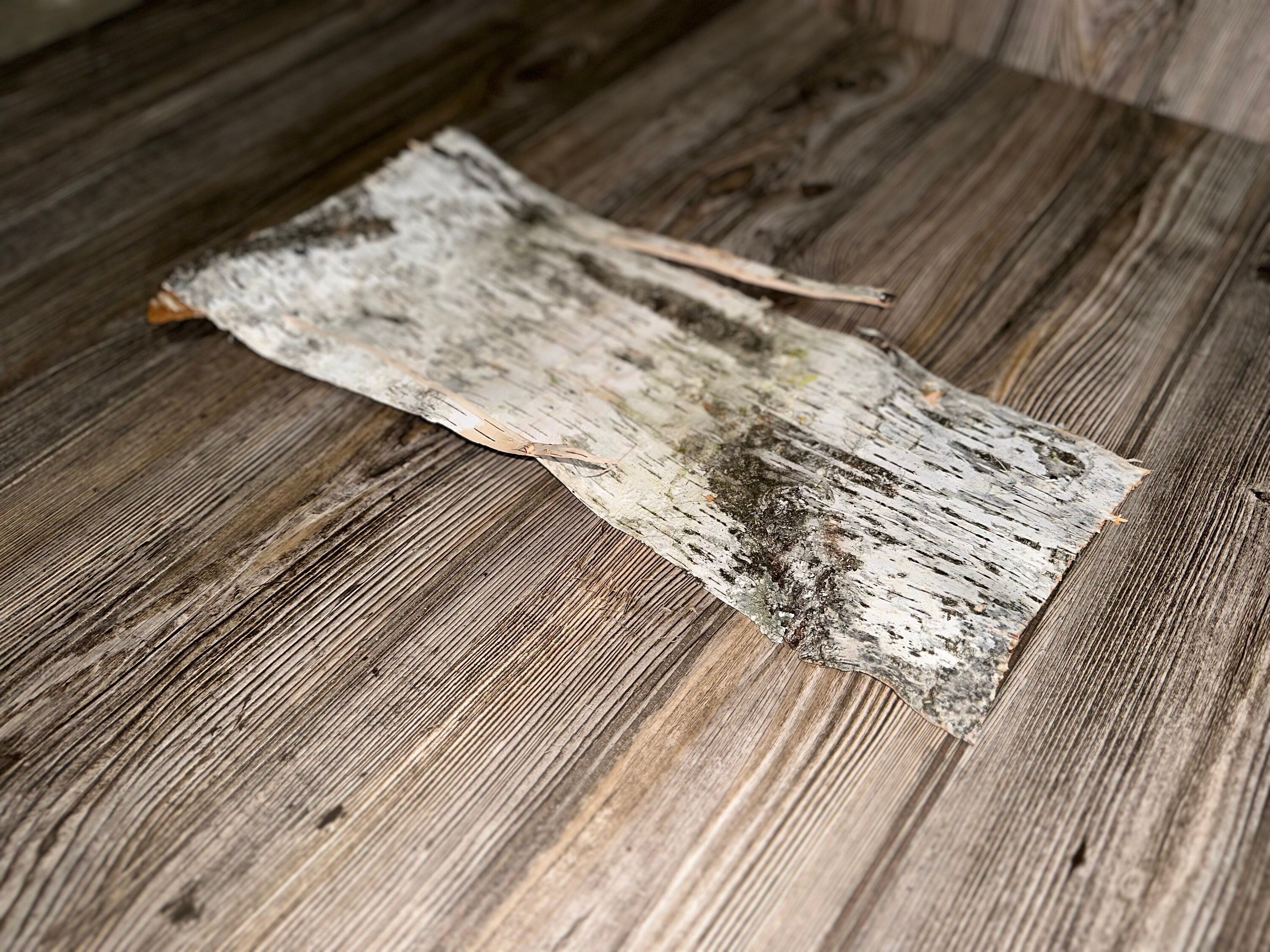 Natural White Birch Bark, White Birch Sheet, Approximately 17 Inches Long by 8 Inches Wide