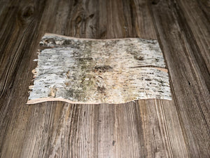 Natural White Birch Bark, White Birch Sheet, Approximately 14.5 Inches Long by 9 Inches Wide