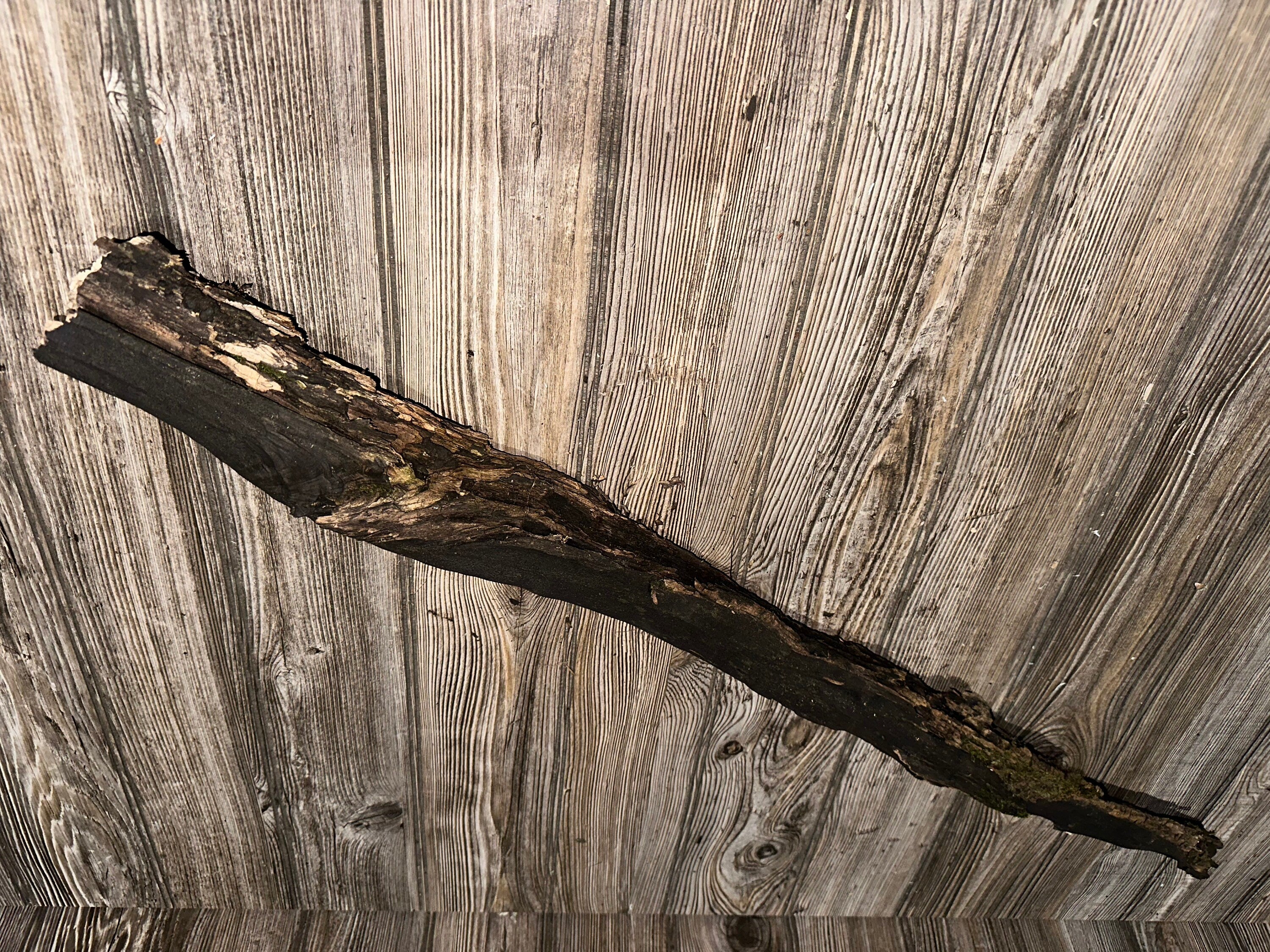 Tree Limb, Branch End, Driftwood, Approximately 33.5 Inches Long by 3 Inches Wide and 3 Inches Tall