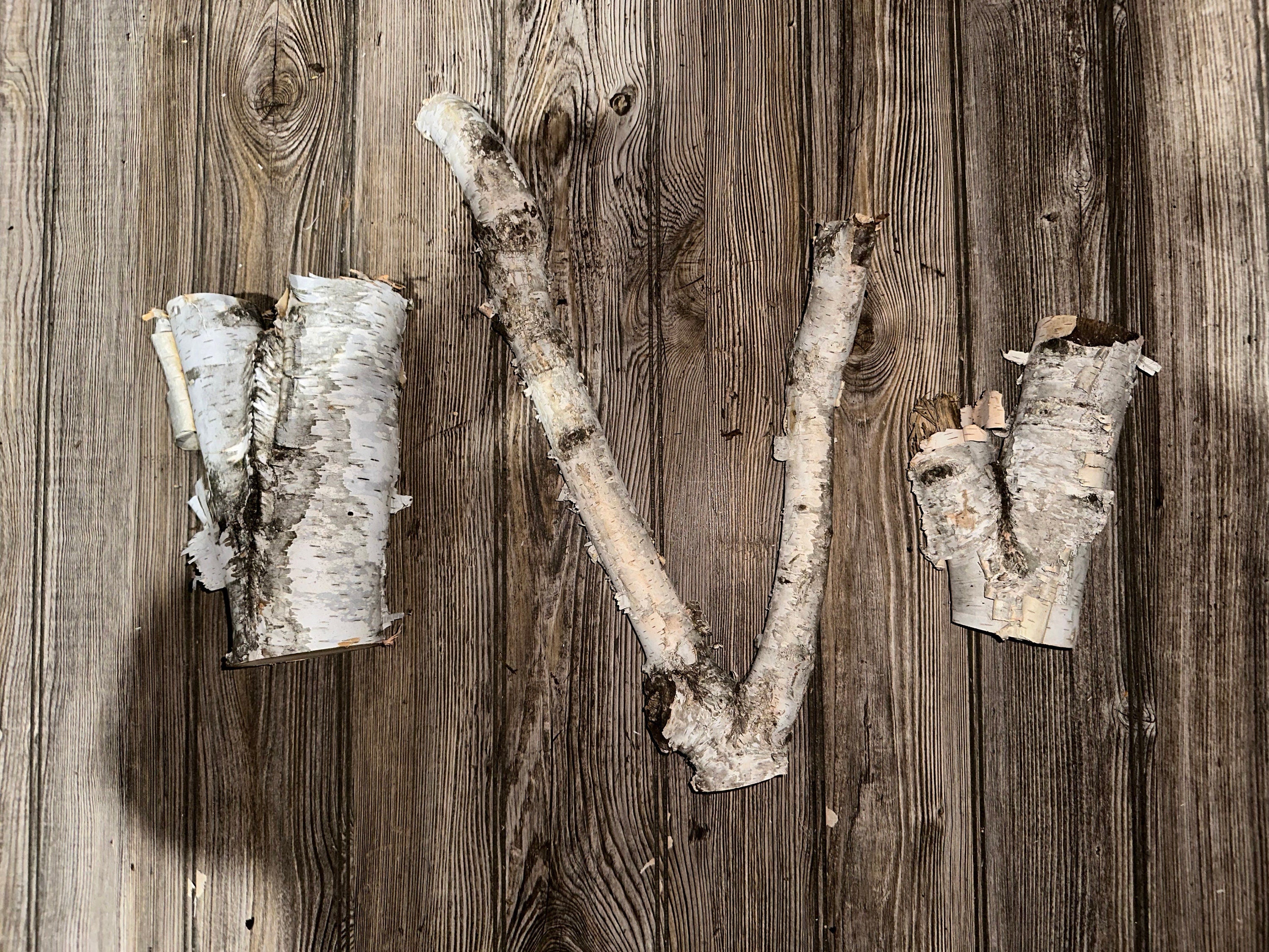 White Birch V-Shaped Logs, Three Count, Between 7.5-18 Inches Long by 4.5-9 Inches Wide, 2-3.5 Inches Thick