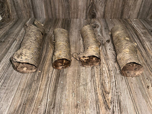 Yellow Birch Bark Tubes, 4 Golden Brown Tubes, Approx 7-9 Inches Long by 2-3 Inches Wide