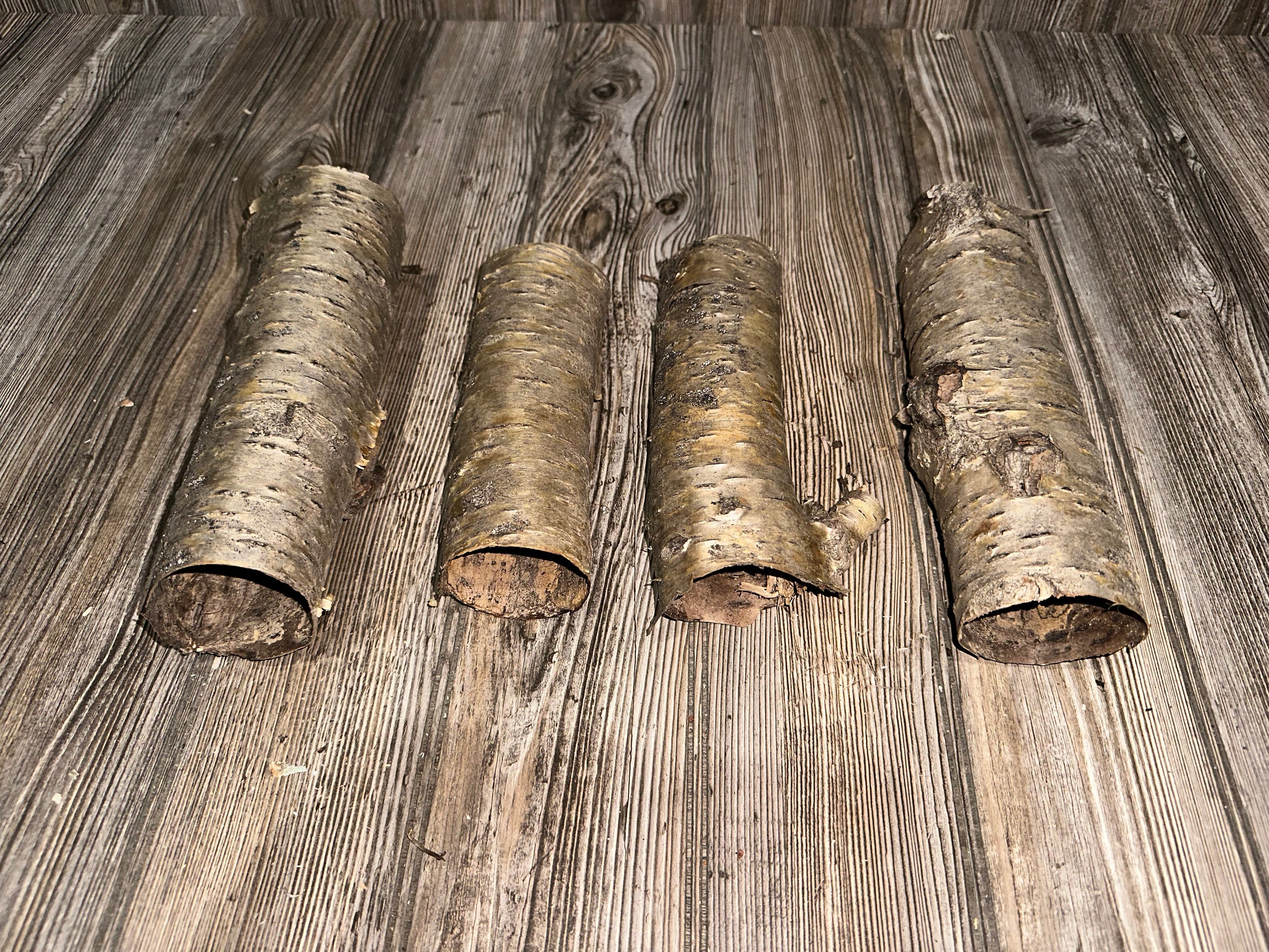 Yellow Birch Bark Tubes, 4 Golden Brown Tubes, Approx 7-9 Inches Long by 2-3 Inches Wide