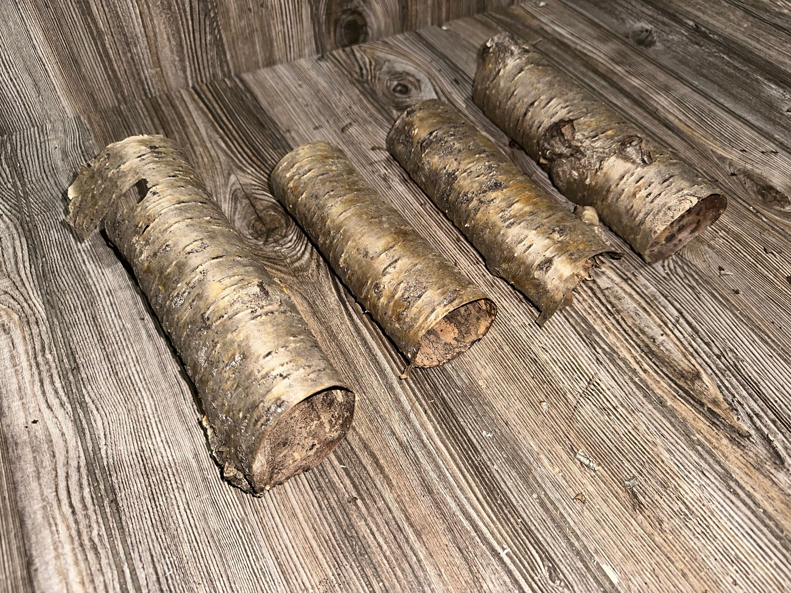 Yellow Birch Bark Tubes, 4 Golden Brown Tubes, Approx 7-9 Inches Long by 2-3 Inches Wide