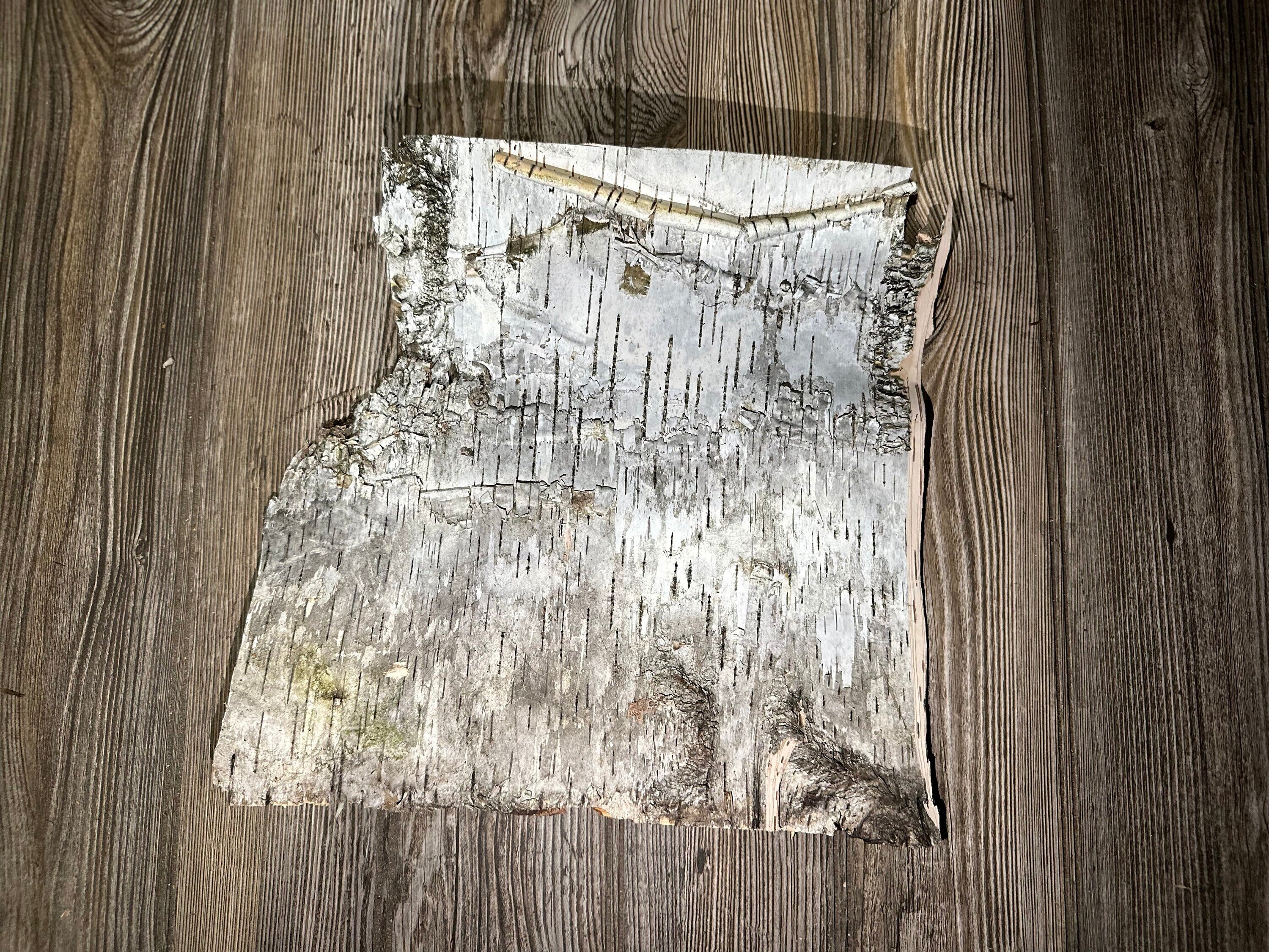 Natural White Birch Bark, White Birch Sheet, Approximately 12.5 Inches Long by 11.5 Inches Wide