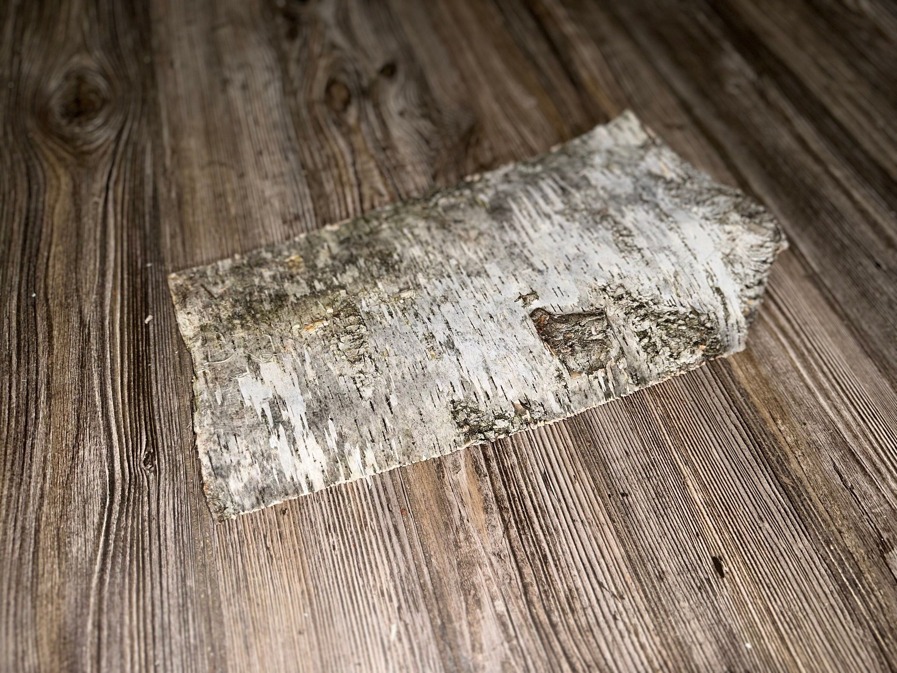 Natural White Birch Bark, White Birch Sheet, Approximately 14.5 Inches Long by 7.5 Inches Wide