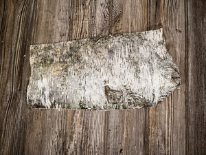 Natural White Birch Bark, White Birch Sheet, Approximately 14.5 Inches Long by 7.5 Inches Wide