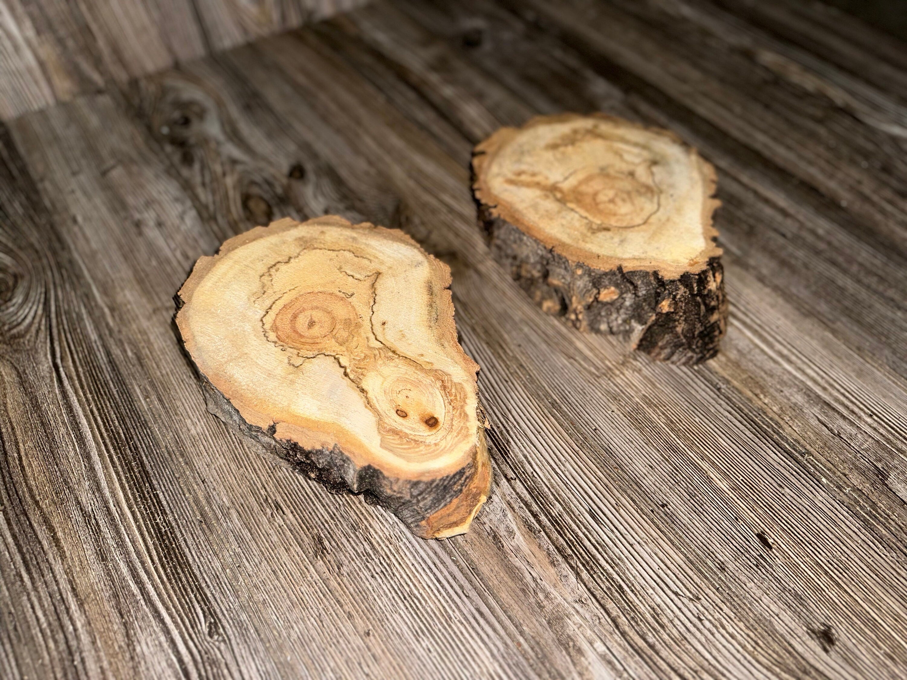 Aspen Burl Slices, Drumstick Shape, Two Count, Approximately 8.5-9 Inches Long by 6 Inches Wide and 2 Inches Thick