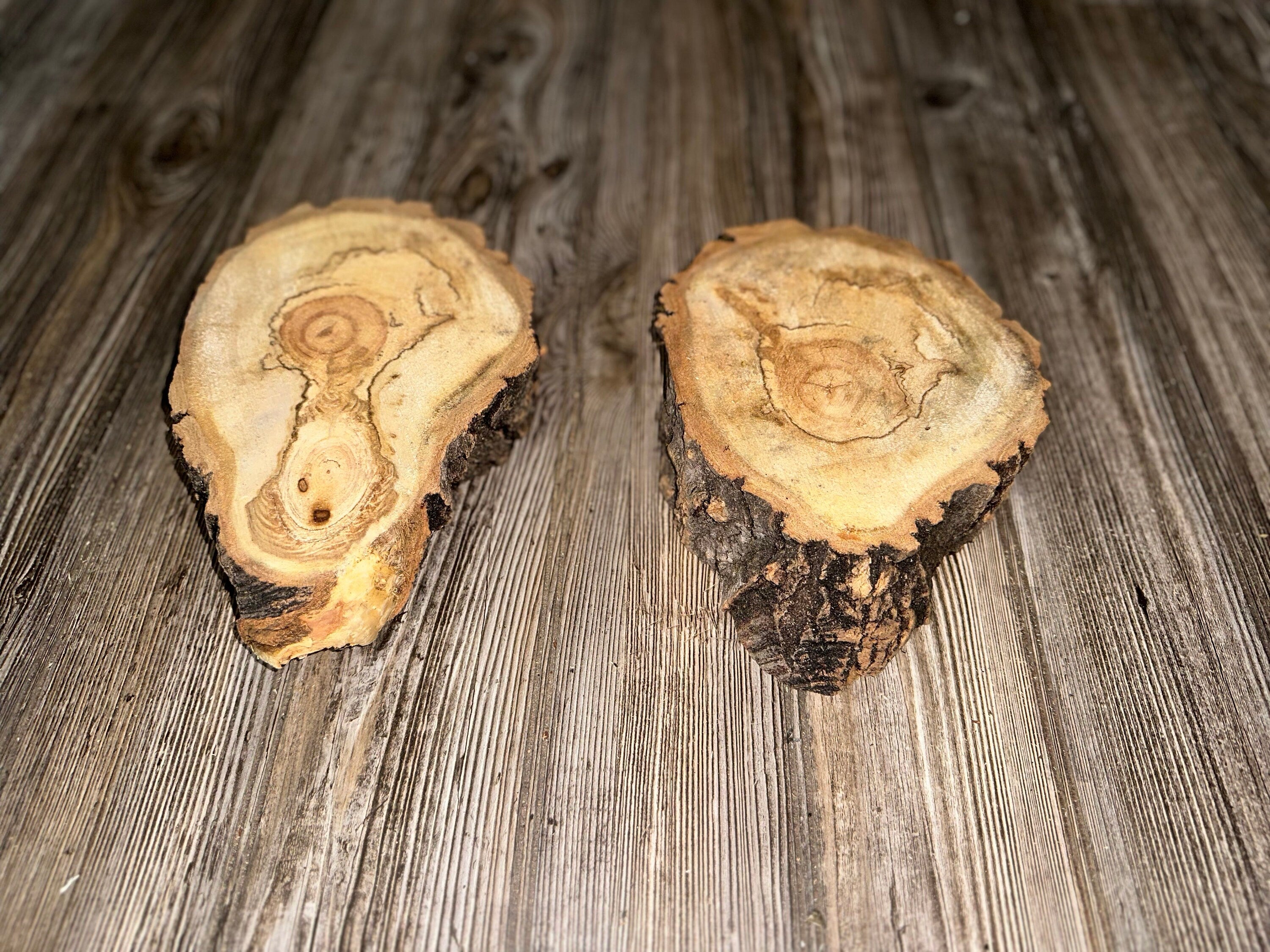 Aspen Burl Slices, Drumstick Shape, Two Count, Approximately 8.5-9 Inches Long by 6 Inches Wide and 2 Inches Thick