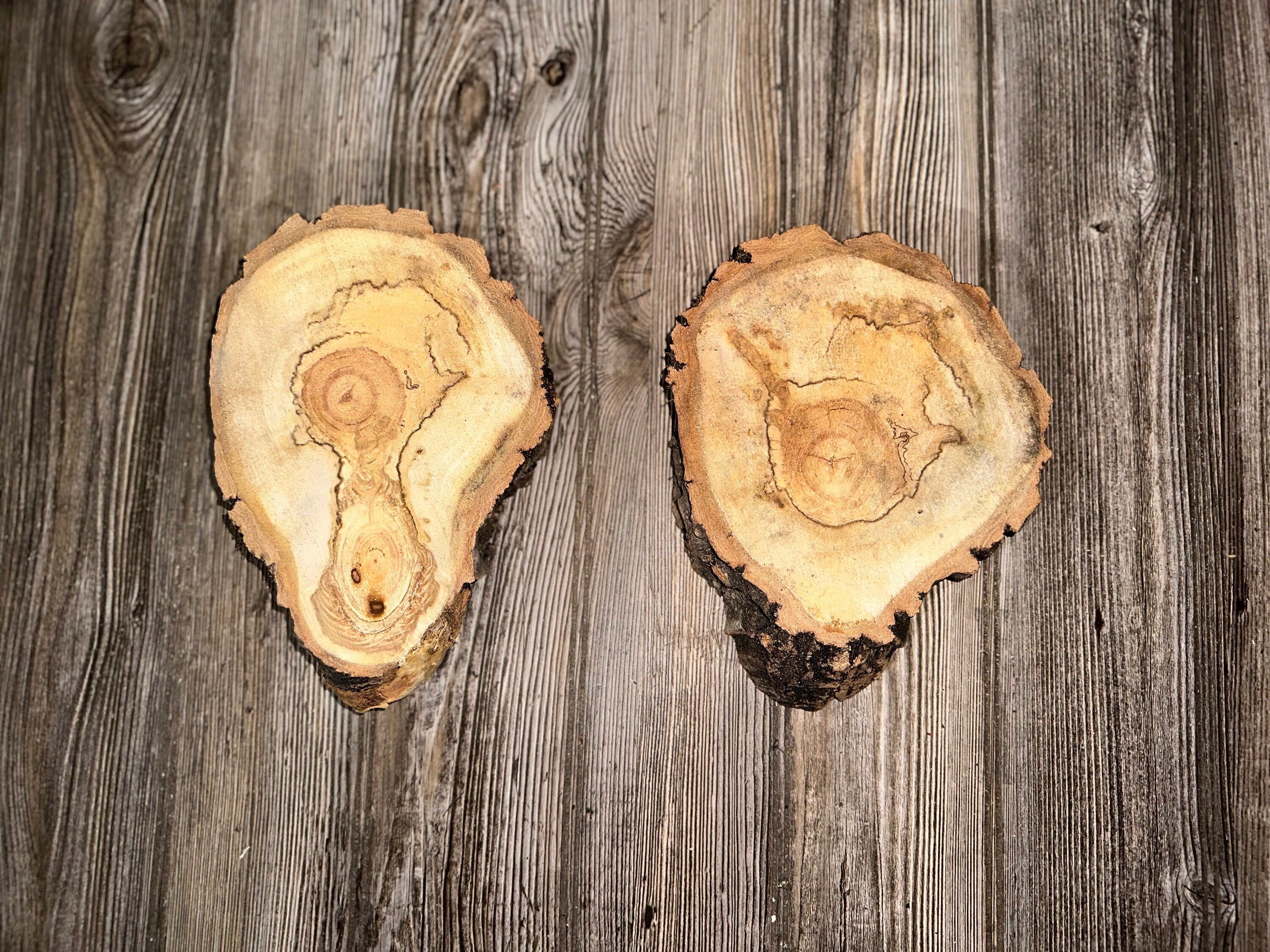 Aspen Burl Slices, Drumstick Shape, Two Count, Approximately 8.5-9 Inches Long by 6 Inches Wide and 2 Inches Thick