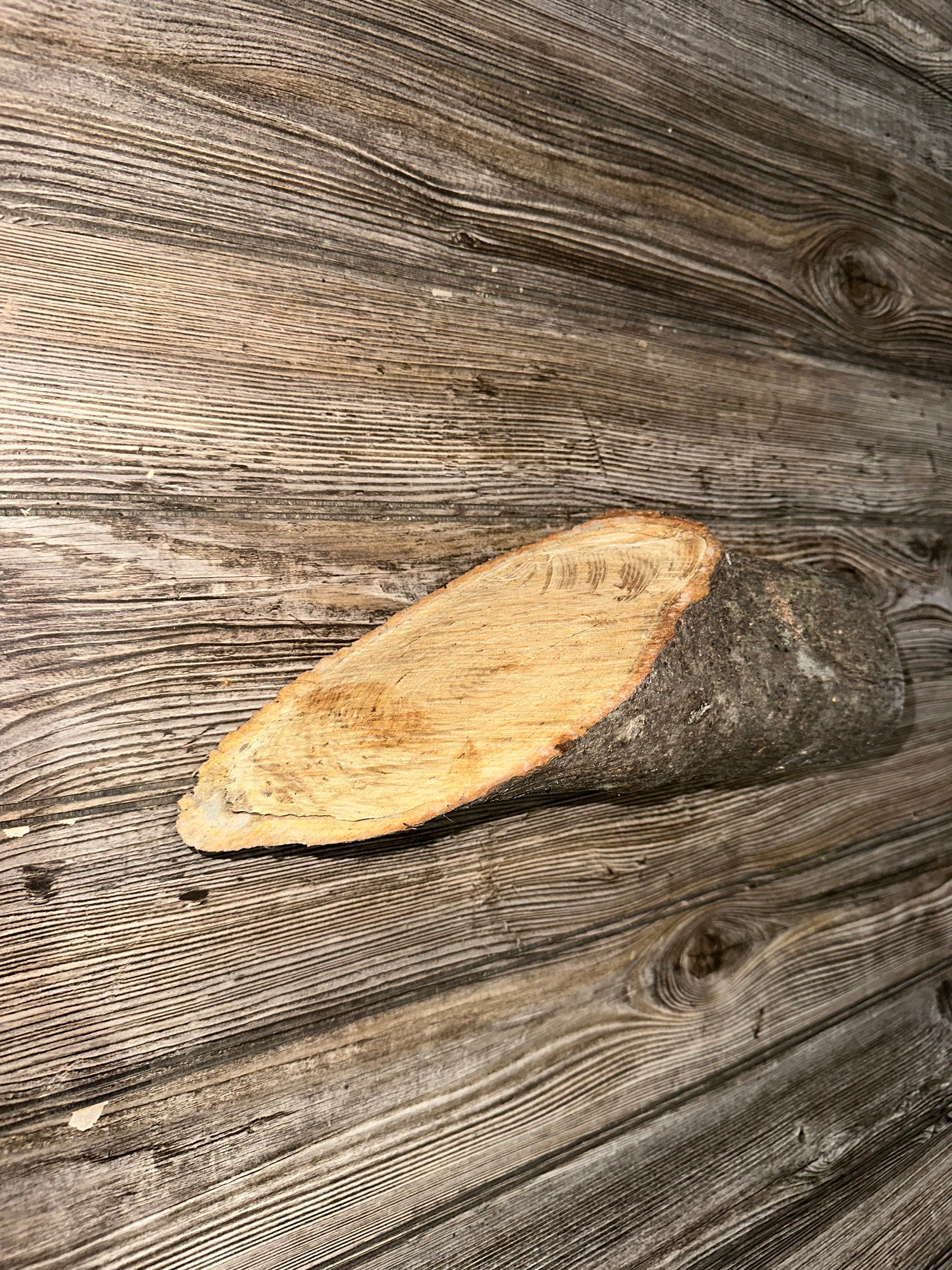 Basswood Log, Basswood Wedge, One Count, About 12 Inches Long by 4 Inches Wide and 3.5 Inches Tall