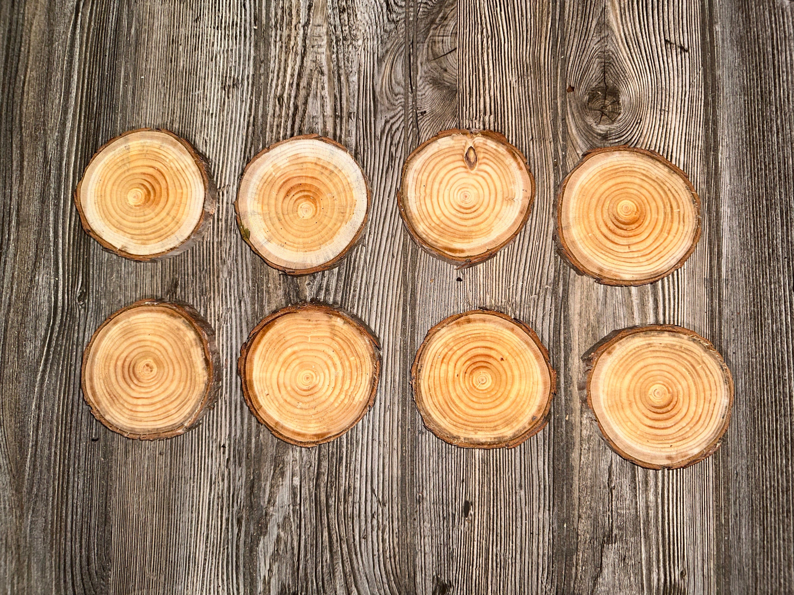 Red Pine Slices, Eight Count, Approximately 4-5 Inches Long by 4-5 Inches Wide and 1/2 Inch Tall