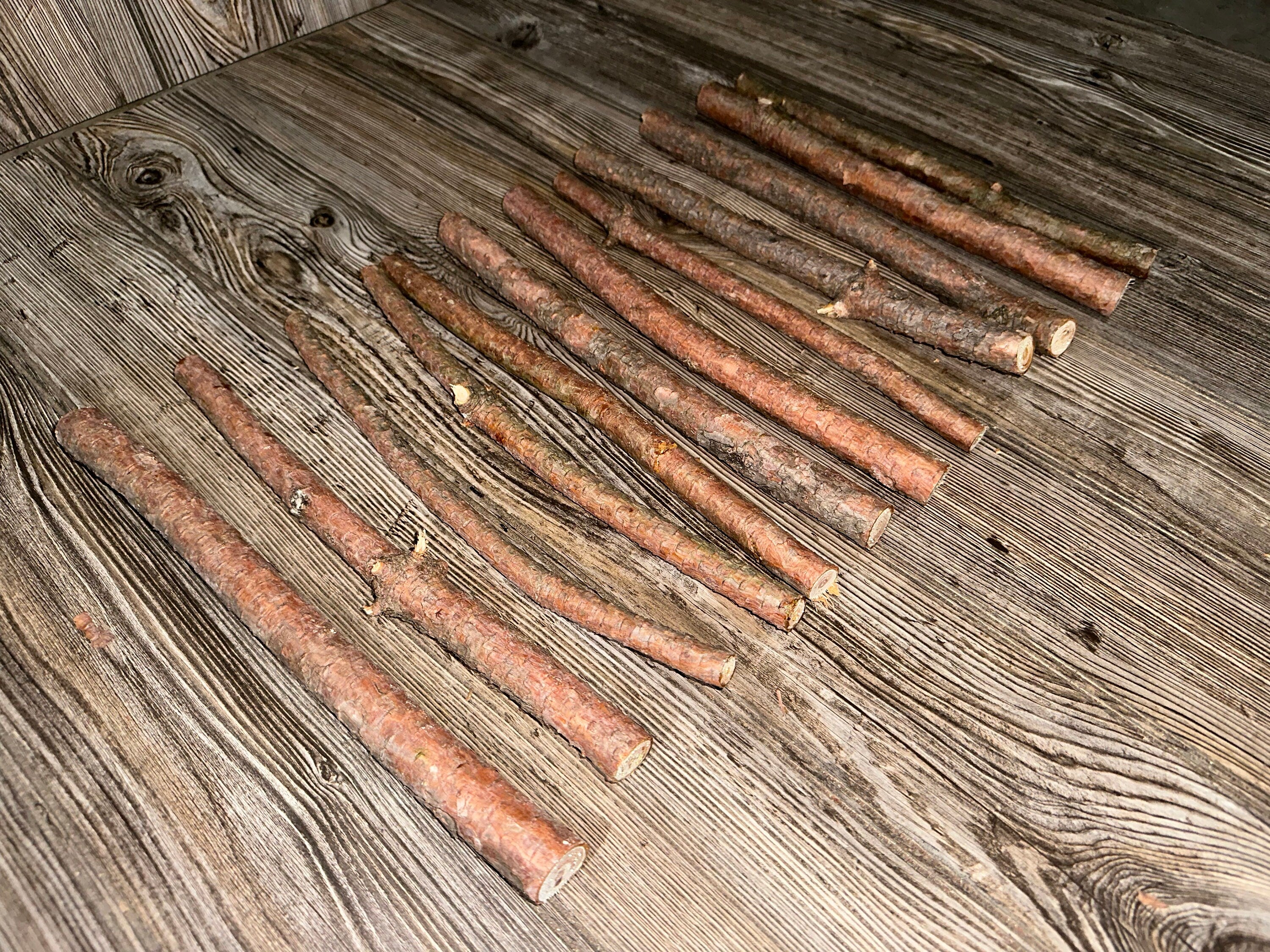 Red Pine Branches, Red Pine Sticks, 12 Count, About 12 Inches Long by 1/2-1 Inch Thick