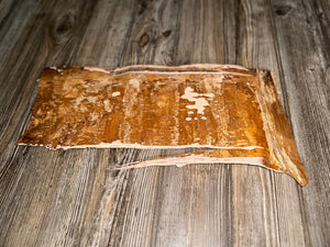 Natural White Birch Bark, White Birch Sheet, Approximately 17 Inches Long by 8 Inches Wide