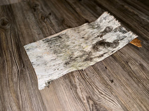 Natural White Birch Bark, White Birch Sheet, Approximately 17 Inches Long by 9 Inches Wide