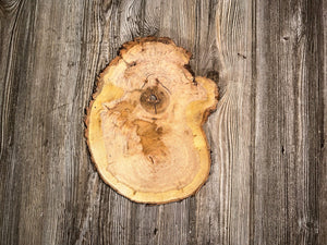 Single Cherry Burl Slice, Bean Shaped, Approximately 11 Inches Long by 8.5 Inches Wide and 1 Inch Thick