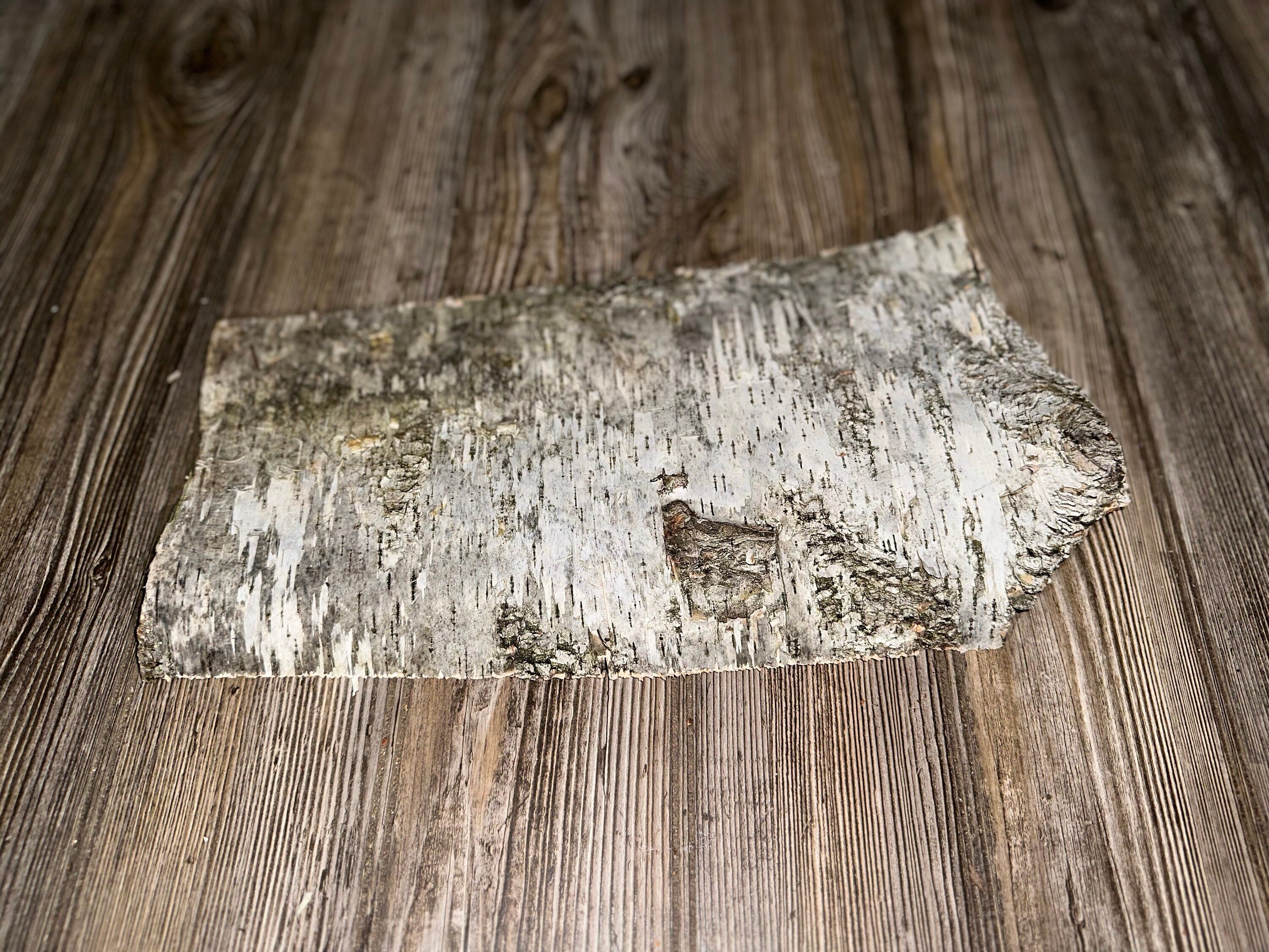 Natural White Birch Bark, White Birch Sheet, Approximately 14.5 Inches Long by 7.5 Inches Wide