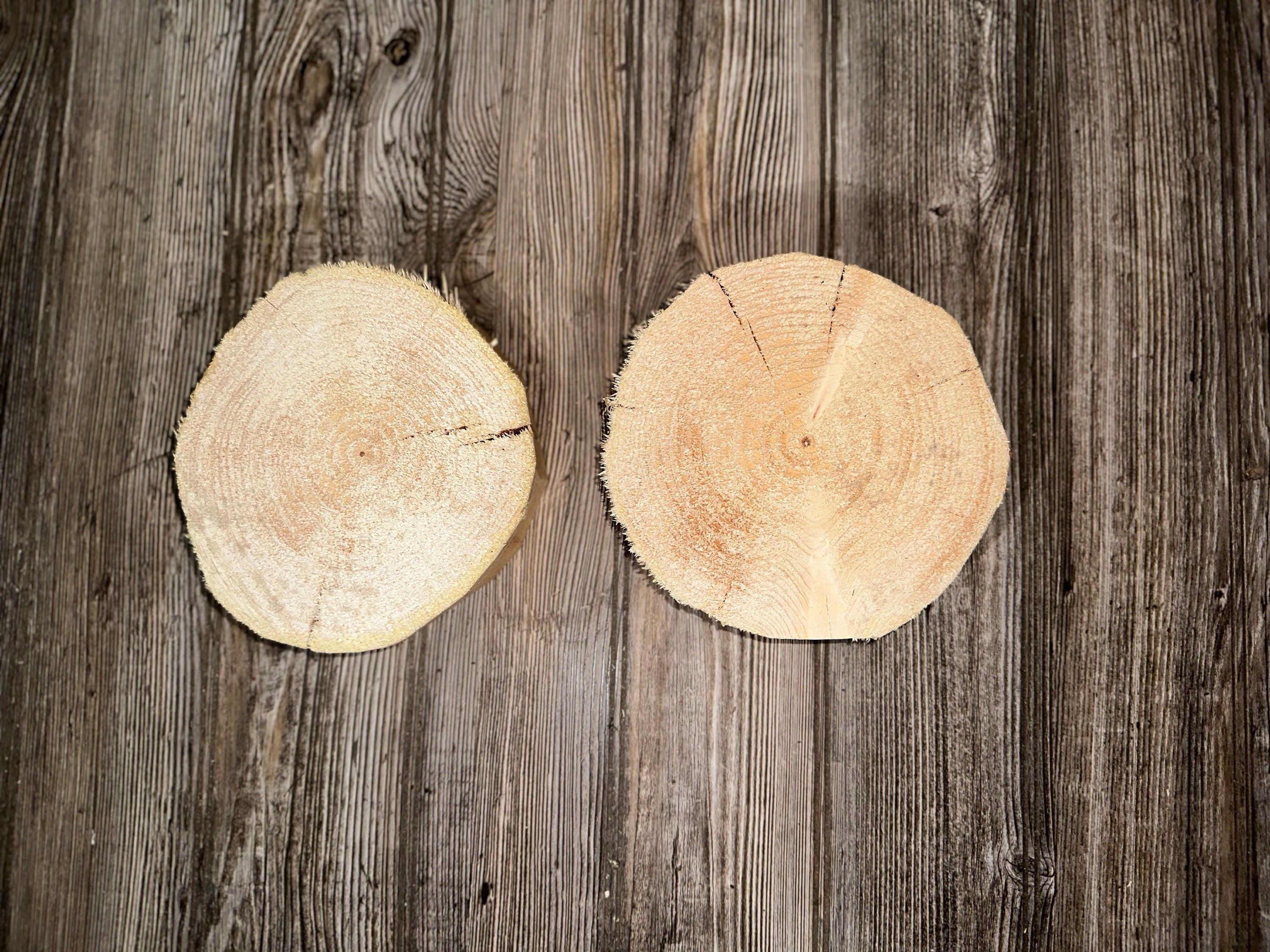 Pine Slices, Two Pine Wood Slices, 2 Count, Approximately 7 Inches Long by 6.5 Inches Wide and 2 Inches Tall