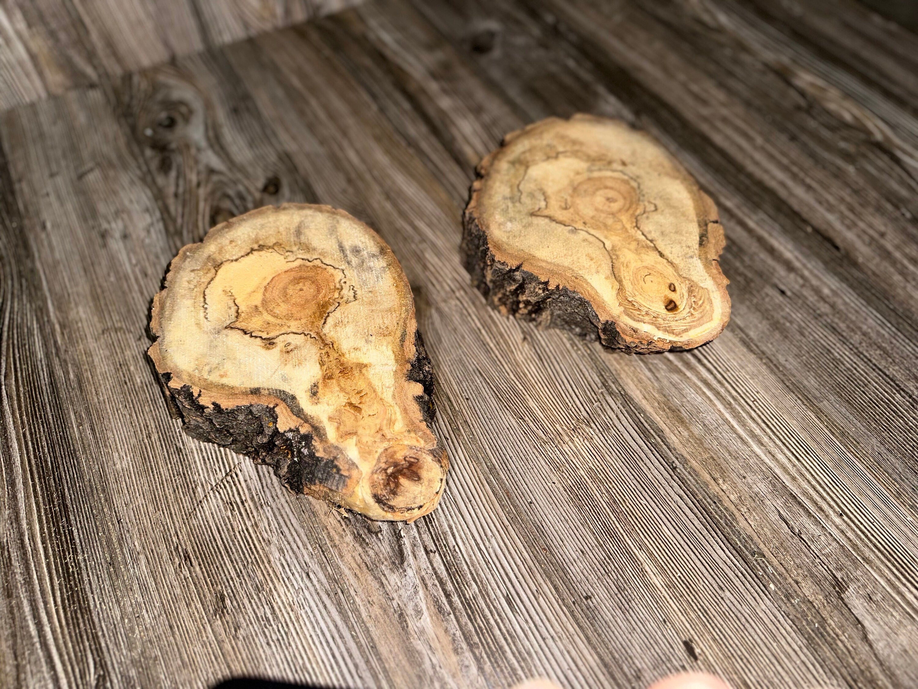 Aspen Burl Slices, Drumstick Shape, Two Count, Approximately 8.5-9 Inches Long by 6 Inches Wide and 2 Inches Thick