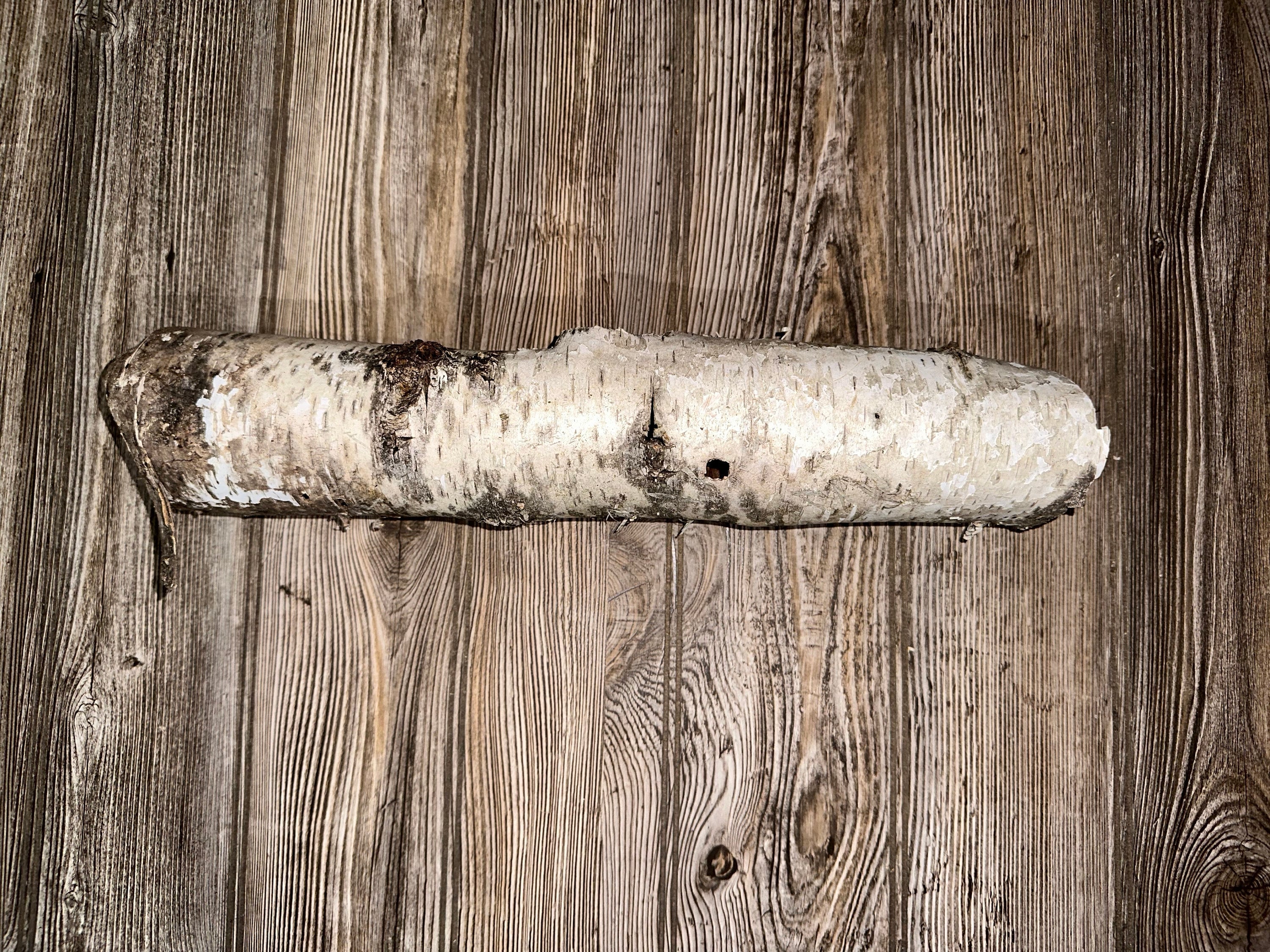 White Birch Bark Tube With Natural Woodpecker Holes, Approximately 15 Inches Long by 3 Inches Wide and 2.5 Inches High