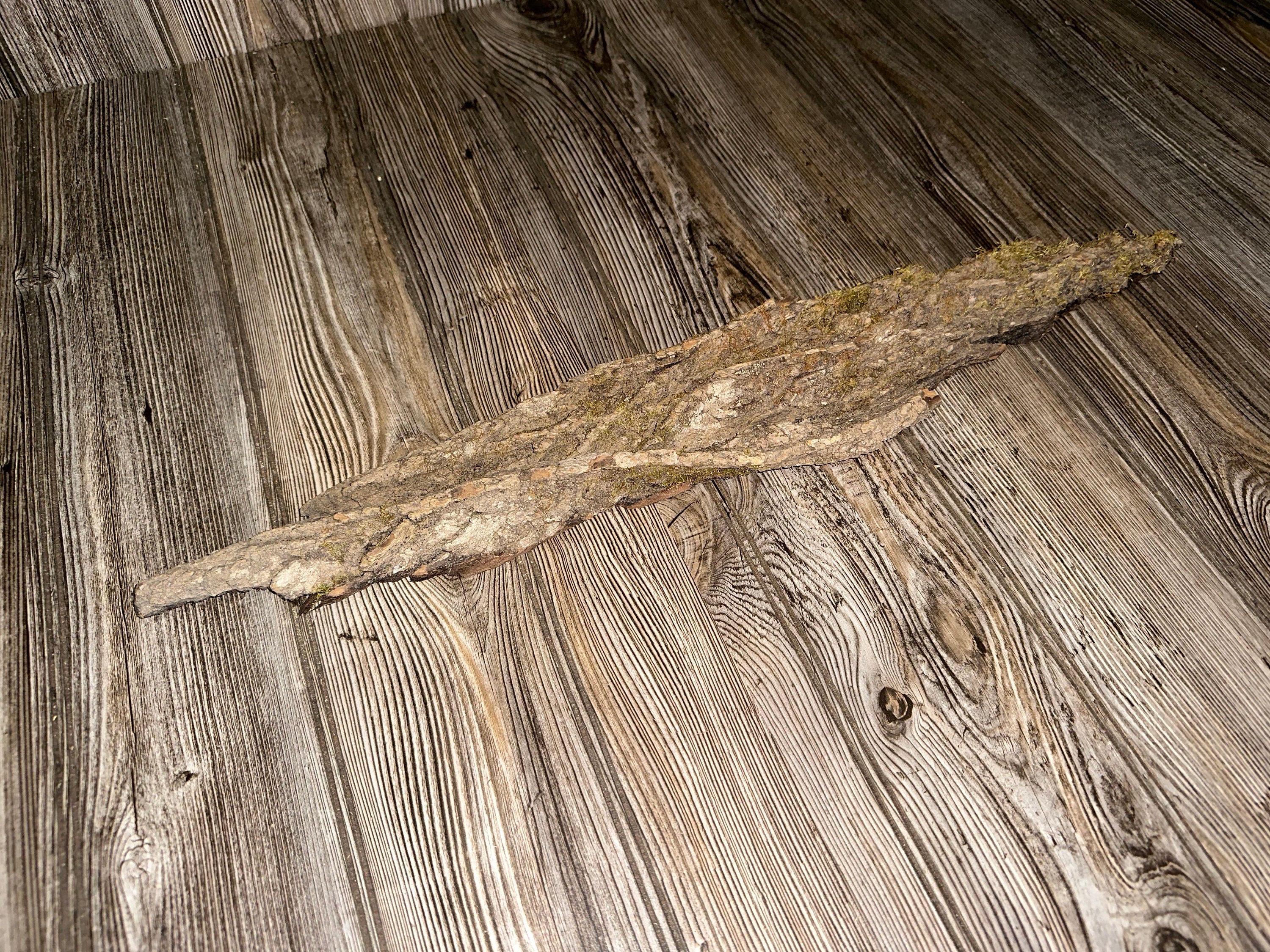 Tree Bark With Moss, Approximately 23 Inches Long by 4 Inches Wide