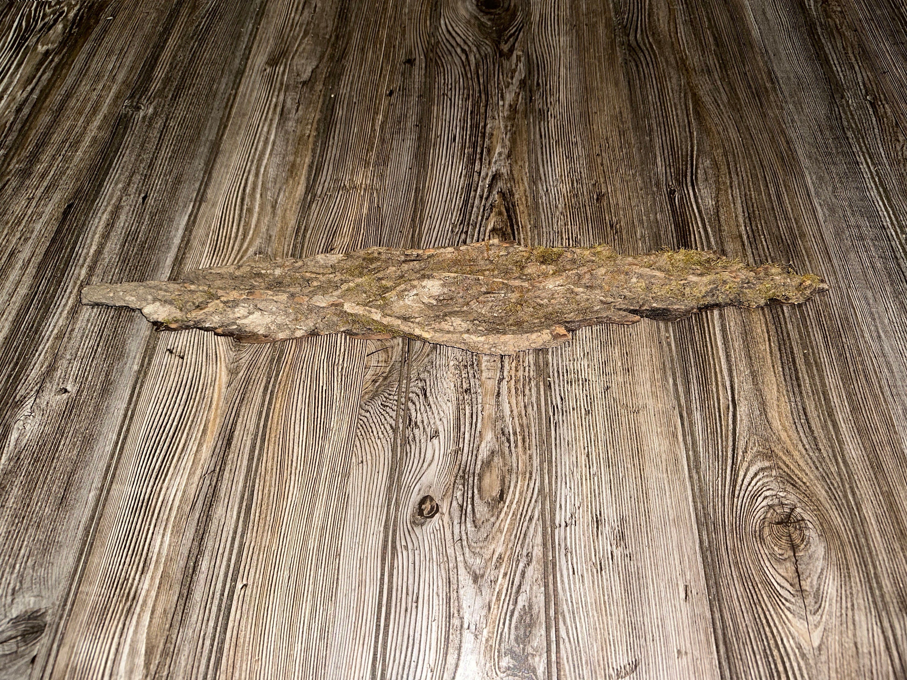 Tree Bark With Moss, Approximately 23 Inches Long by 4 Inches Wide