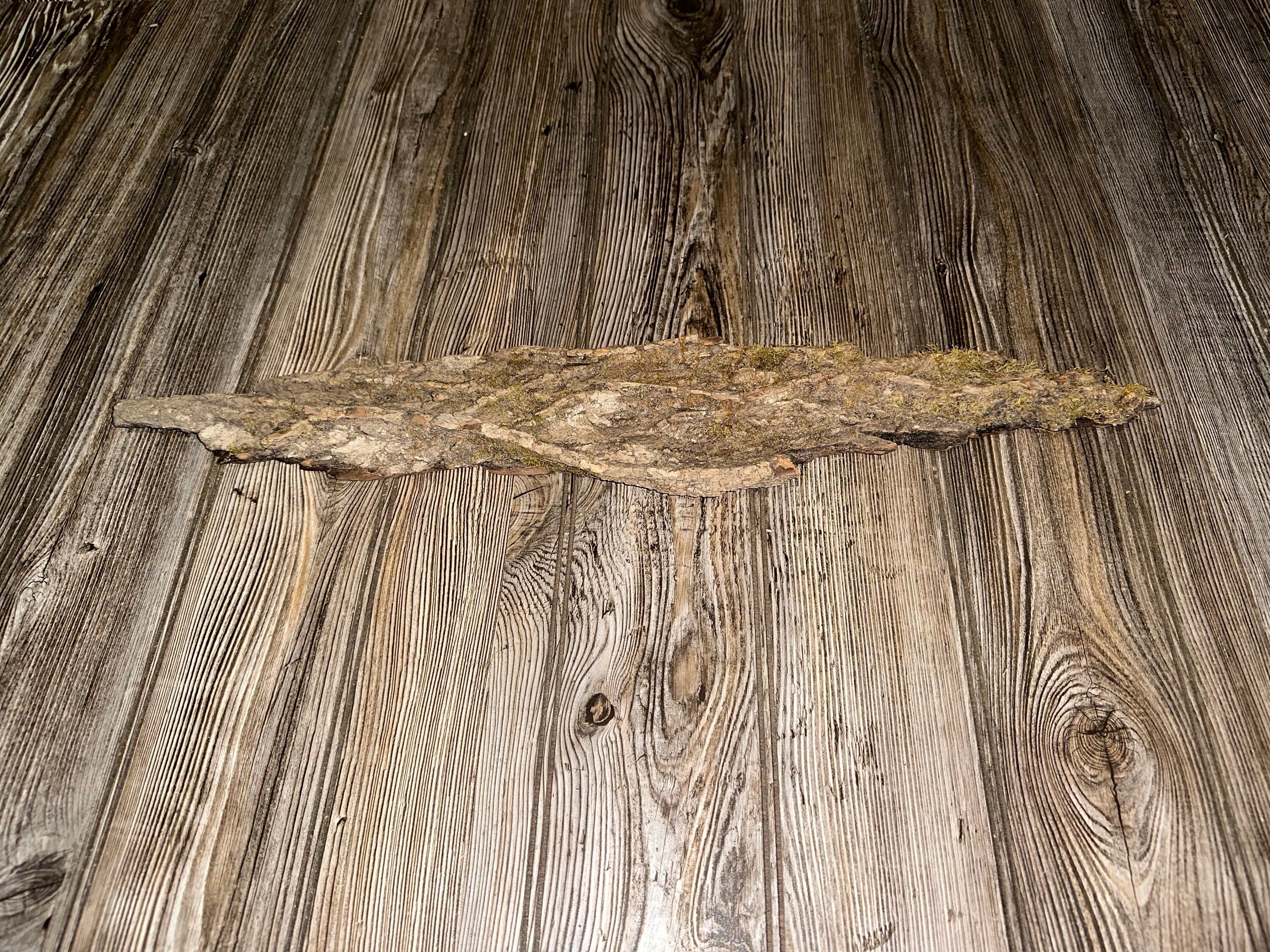 Tree Bark With Moss, Approximately 23 Inches Long by 4 Inches Wide