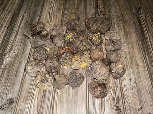 Burl, One Pound of Baby Burls, Lengths and Widths of the Burl and Branch Vary on Each