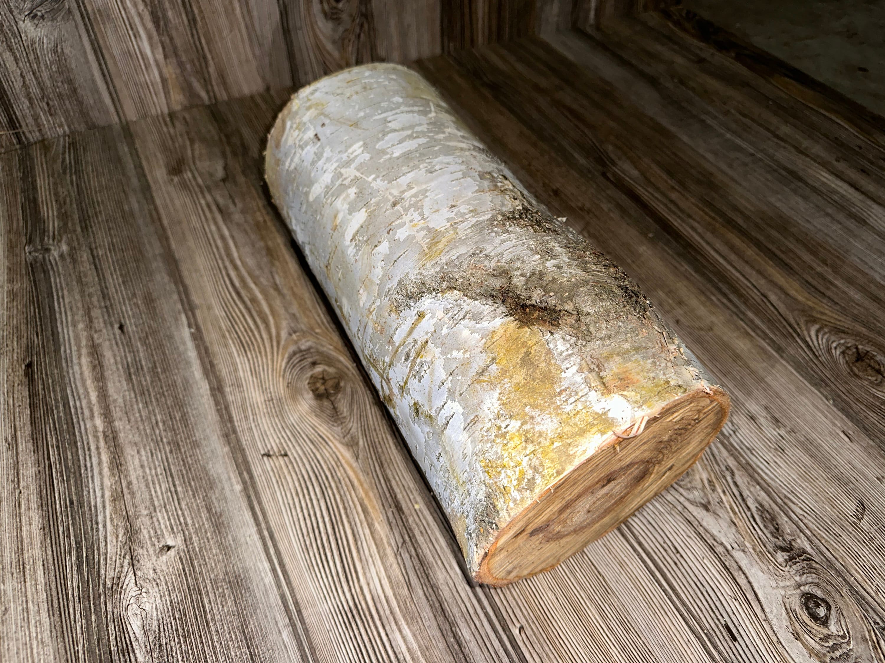 White Birch Yule Log, Approximately 12 Inches Long by 5-6 Inches Diameter