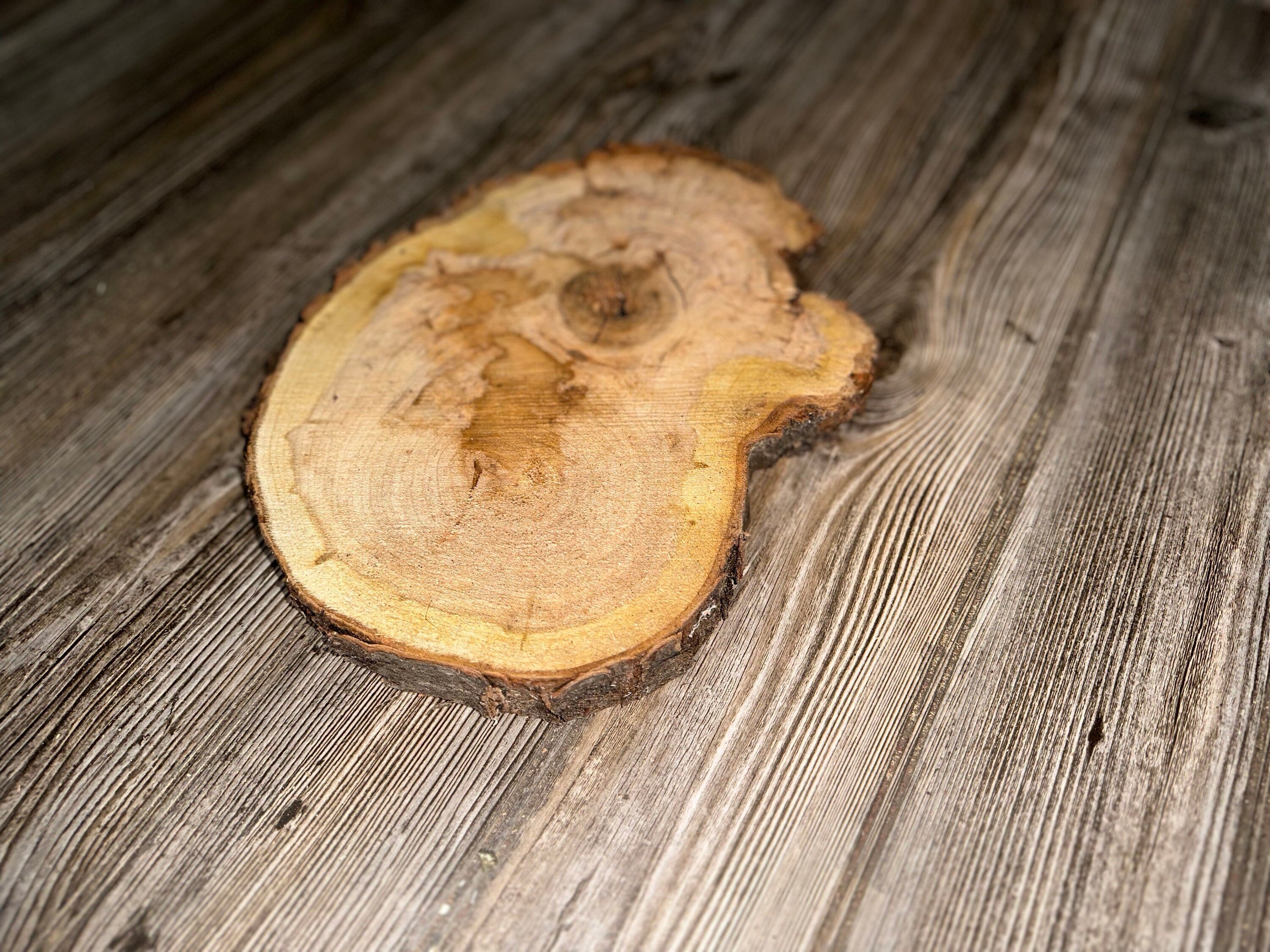 Single Cherry Burl Slice, Bean Shaped, Approximately 11 Inches Long by 8.5 Inches Wide and 1 Inch Thick