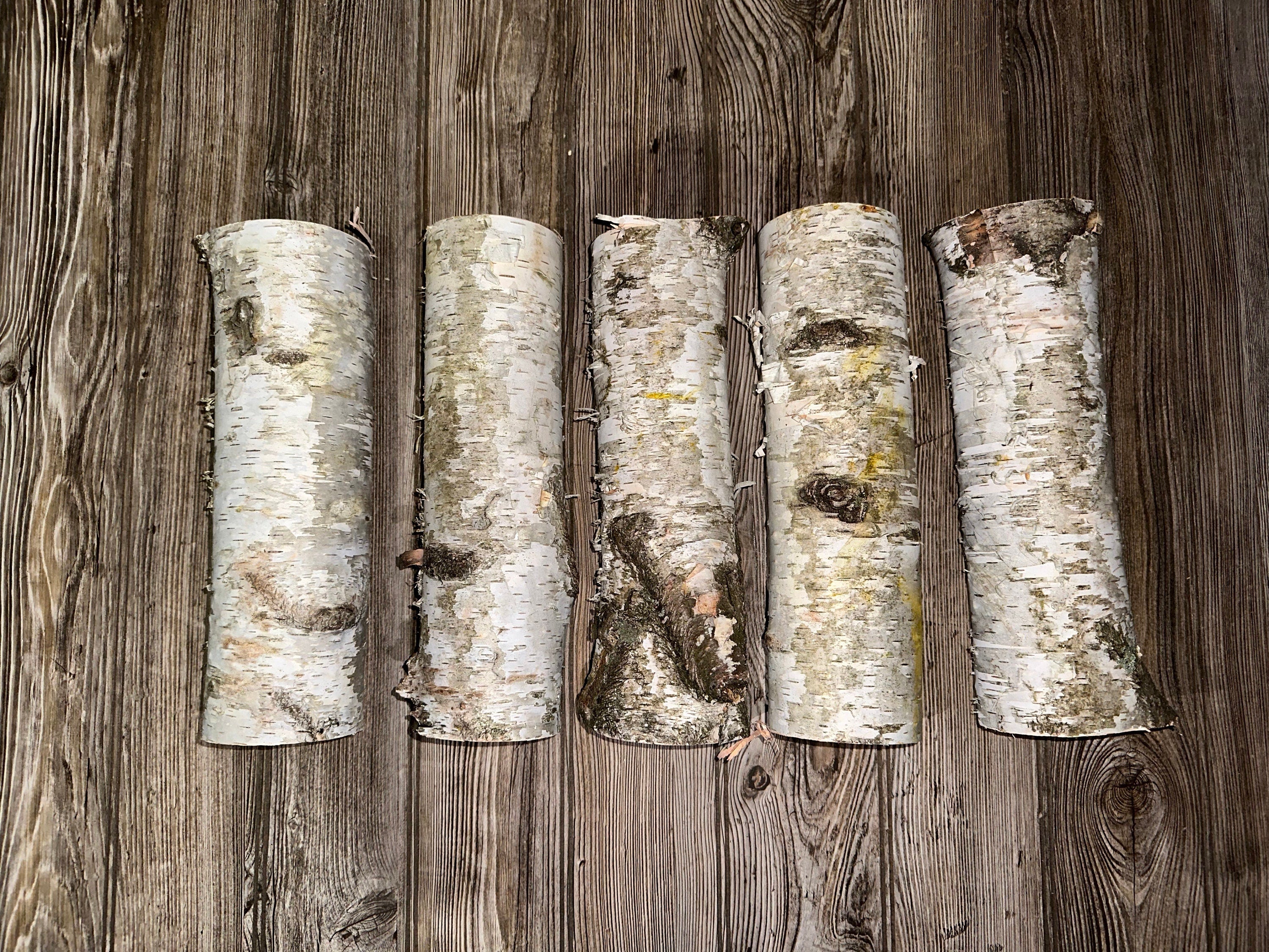 White Birch Logs, About 12 Inches Long, Between 3-4 Inches Diameter, Seconds