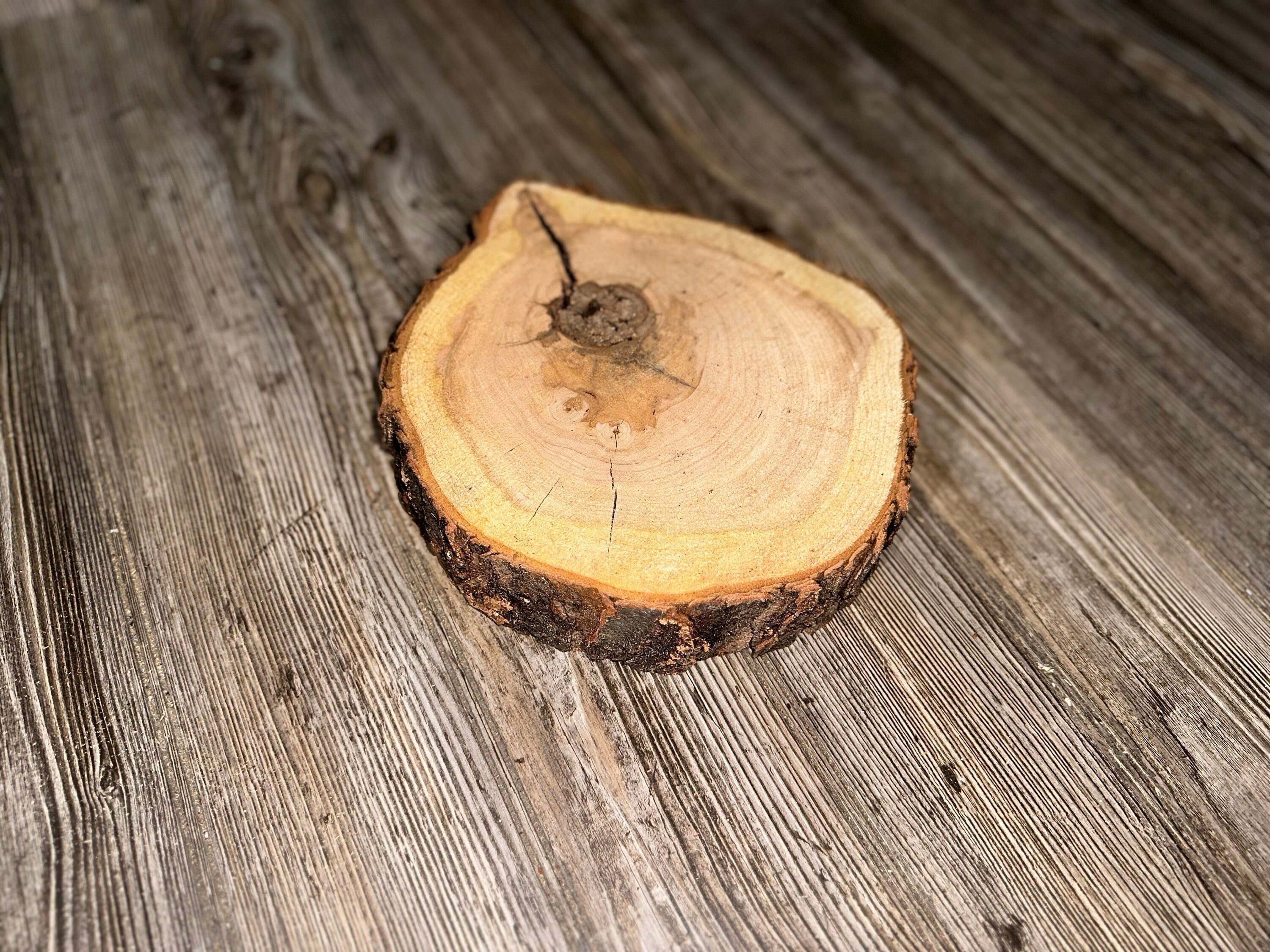 Single Cherry Burl Slice, Approximately 10.5 Inches Long by 9 Inches Wide and 1 Inch Thick