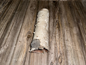 One White Birch Tube, Approximately 11.5 Inches Long by About 3.5 Inches Wide and 3 Inches High