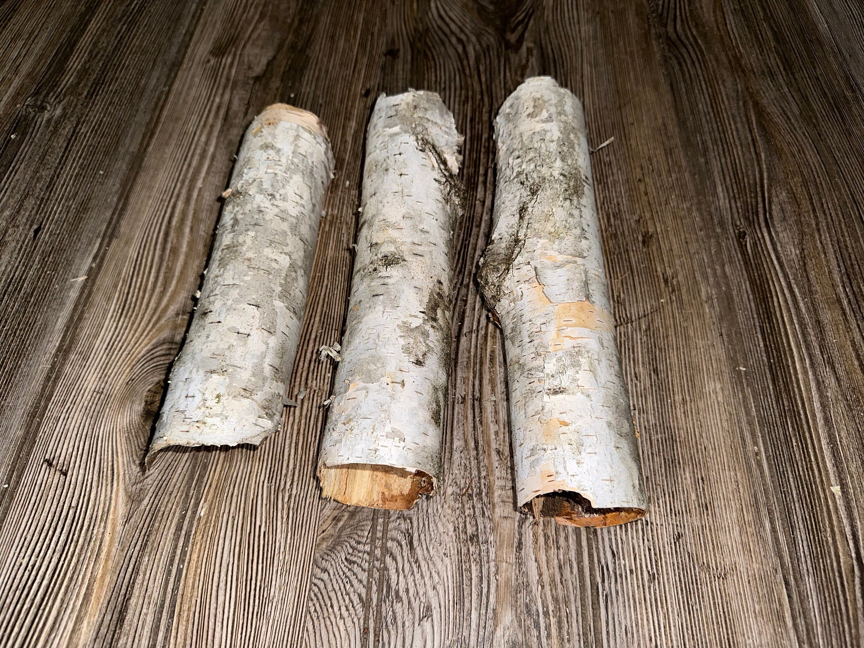 Three White Birch Bark Tubes, Approximately 9-10.5 Inches Long by 2-2.5 Inches Diameter