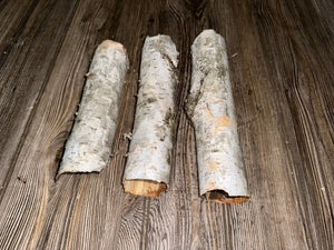 Three White Birch Bark Tubes, Approximately 9-10.5 Inches Long by 2-2.5 Inches Diameter