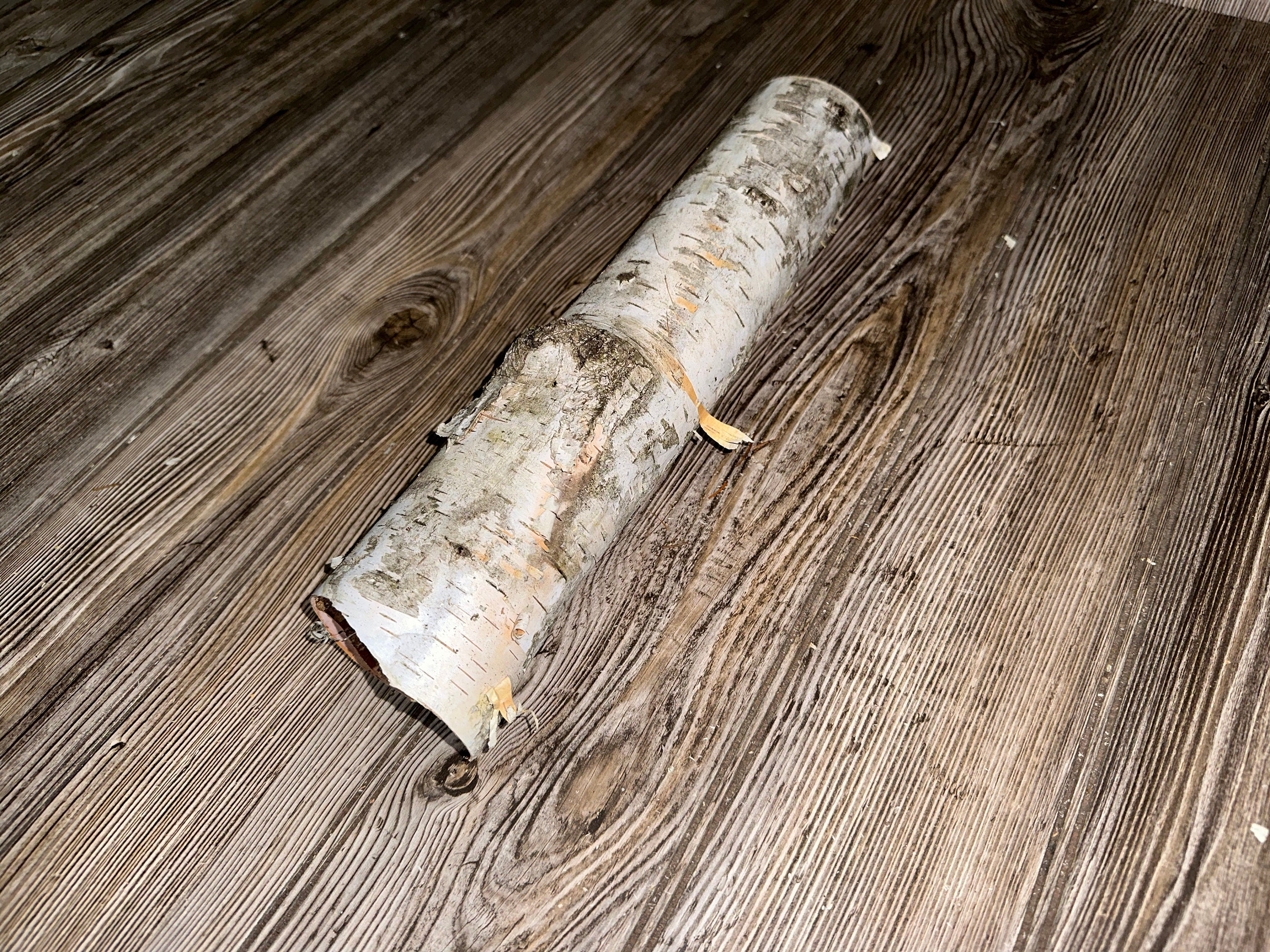 One White Birch Tube, Approximately 13.5 Inches Long by About 3 Inches Wide and 2.5 Inches High