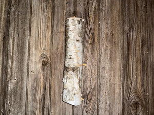 One White Birch Tube, Approximately 13.5 Inches Long by About 3 Inches Wide and 2.5 Inches High