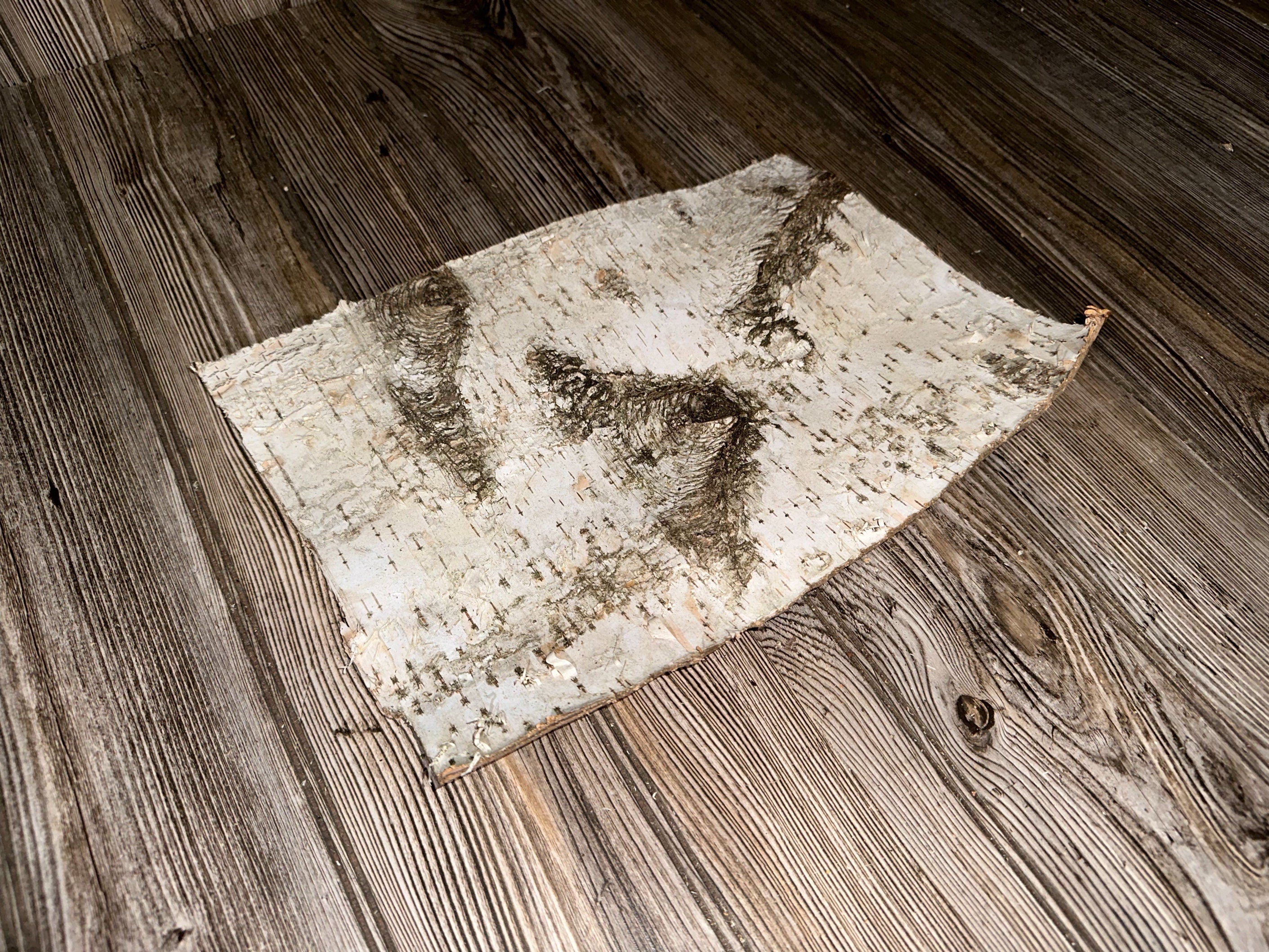 White Birch Bark, Approximately 13 by 9.5 Inches