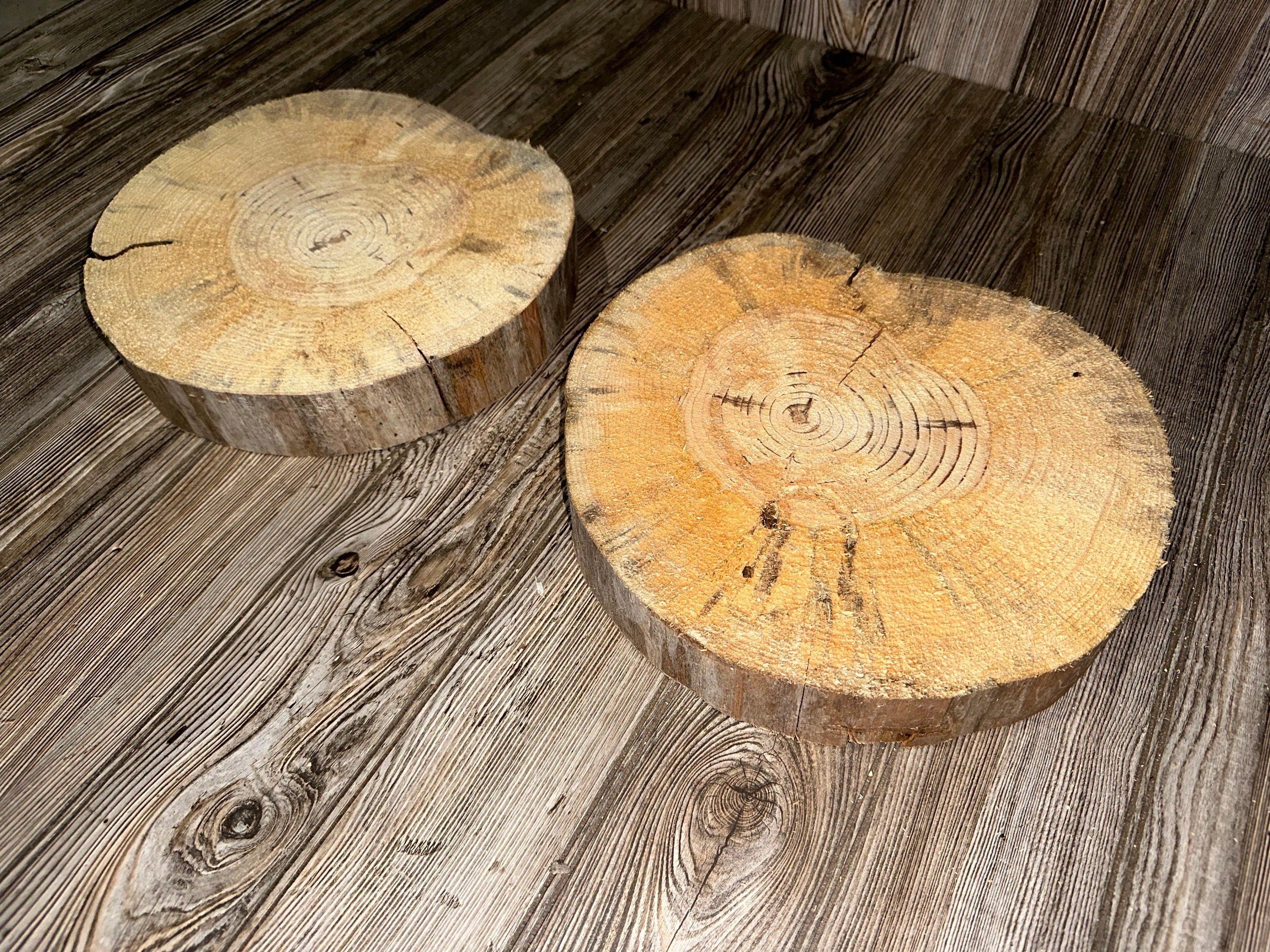 Pine Slices, Two Pine Wood Slices, 2 Count, Approximately 11.5-12 Inches Long by 10.5-11 Inches Wide and 2 Inches Tall