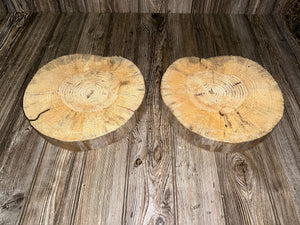 Pine Slices, Two Pine Wood Slices, 2 Count, Approximately 11.5-12 Inches Long by 10.5-11 Inches Wide and 2 Inches Tall